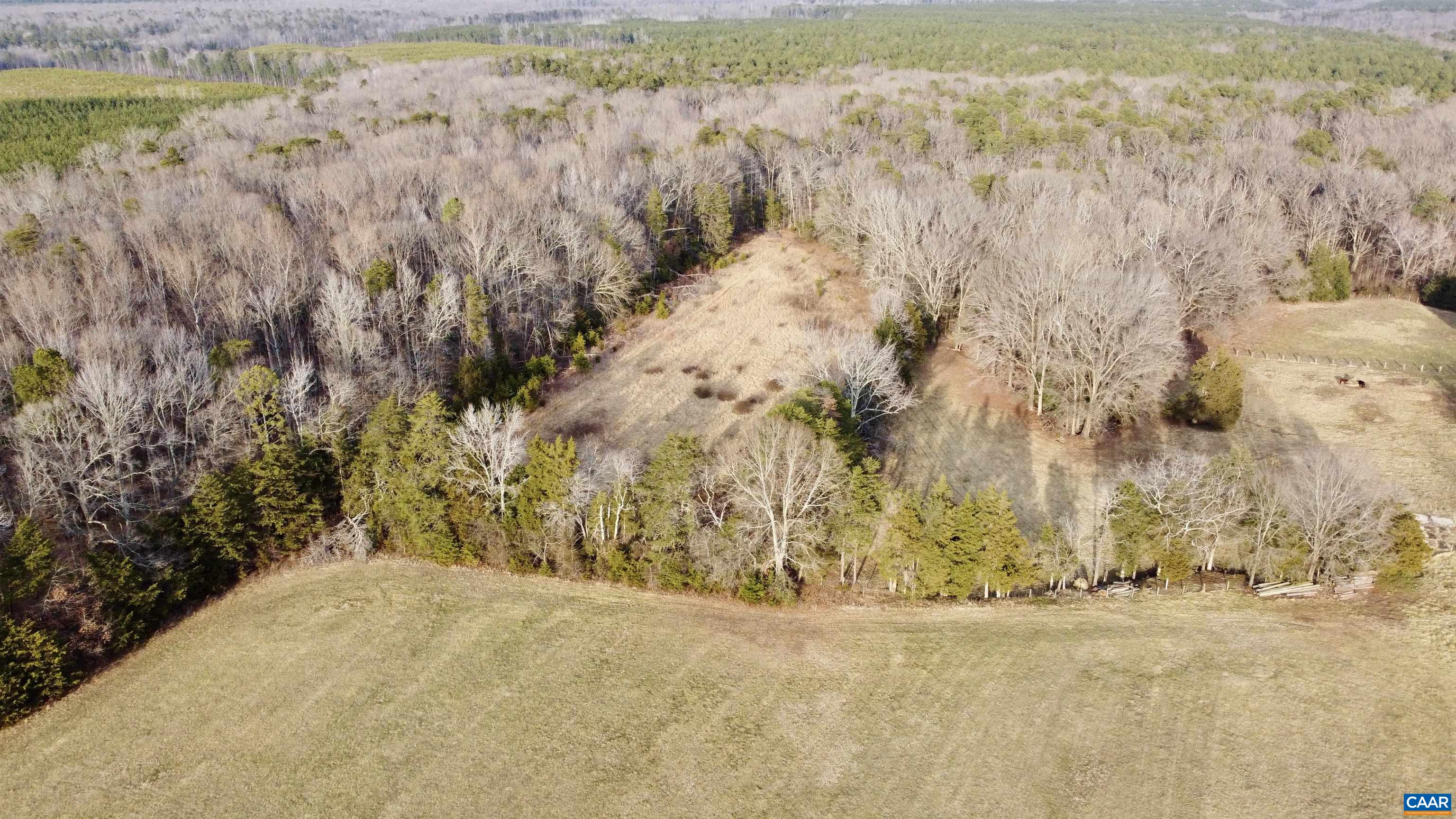 0 BEAVERDAM RD, BEAVERDAM, Virginia 23015, ,Farm,0 BEAVERDAM RD,680594 MLS # 680594 0 BEAVERDAM RD, BEAVERDAM, Virginia 23015, ,Farm,0 BEAVERDAM RD,680594 MLS # 680594