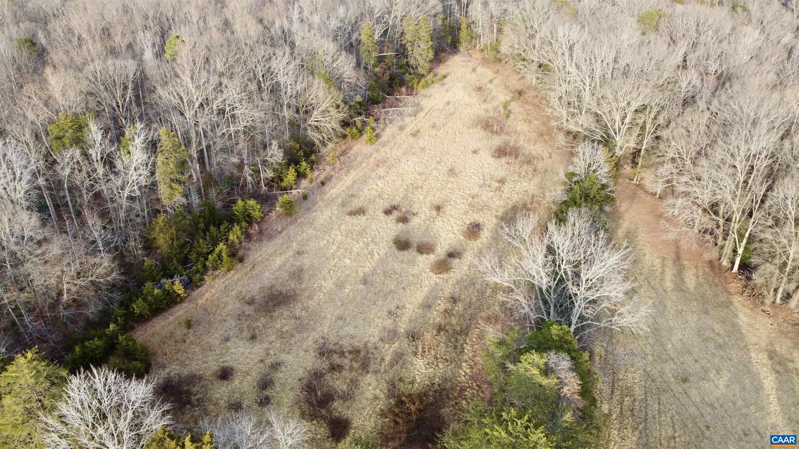 0 BEAVERDAM RD, BEAVERDAM, Virginia 23015, ,Farm,0 BEAVERDAM RD,680594 MLS # 680594 0 BEAVERDAM RD, BEAVERDAM, Virginia 23015, ,Farm,0 BEAVERDAM RD,680594 MLS # 680594