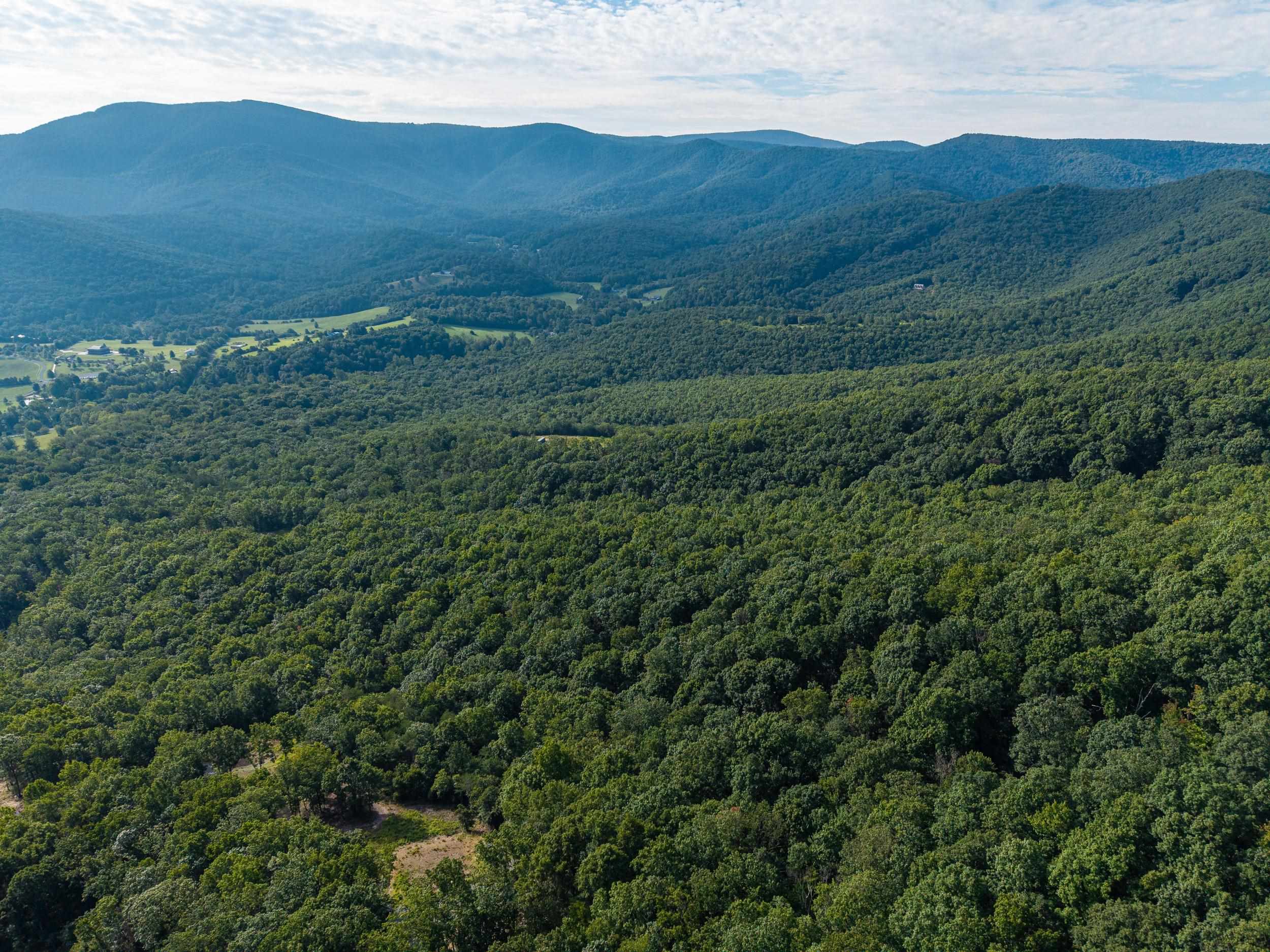 0 ROUNDHEAD MOUNTAIN RD, STANLEY, Virginia 22851, ,Land,0 ROUNDHEAD MOUNTAIN RD,680626 MLS # 680626 0 ROUNDHEAD MOUNTAIN RD, STANLEY, Virginia 22851, ,Land,0 ROUNDHEAD MOUNTAIN RD,680626 MLS # 680626