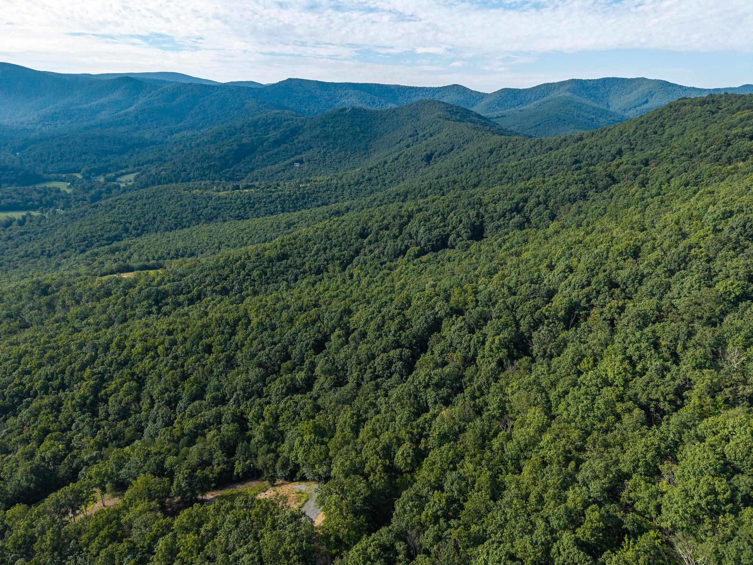 0 ROUNDHEAD MOUNTAIN RD, STANLEY, Virginia 22851, ,Land,0 ROUNDHEAD MOUNTAIN RD,680626 MLS # 680626 0 ROUNDHEAD MOUNTAIN RD, STANLEY, Virginia 22851, ,Land,0 ROUNDHEAD MOUNTAIN RD,680626 MLS # 680626