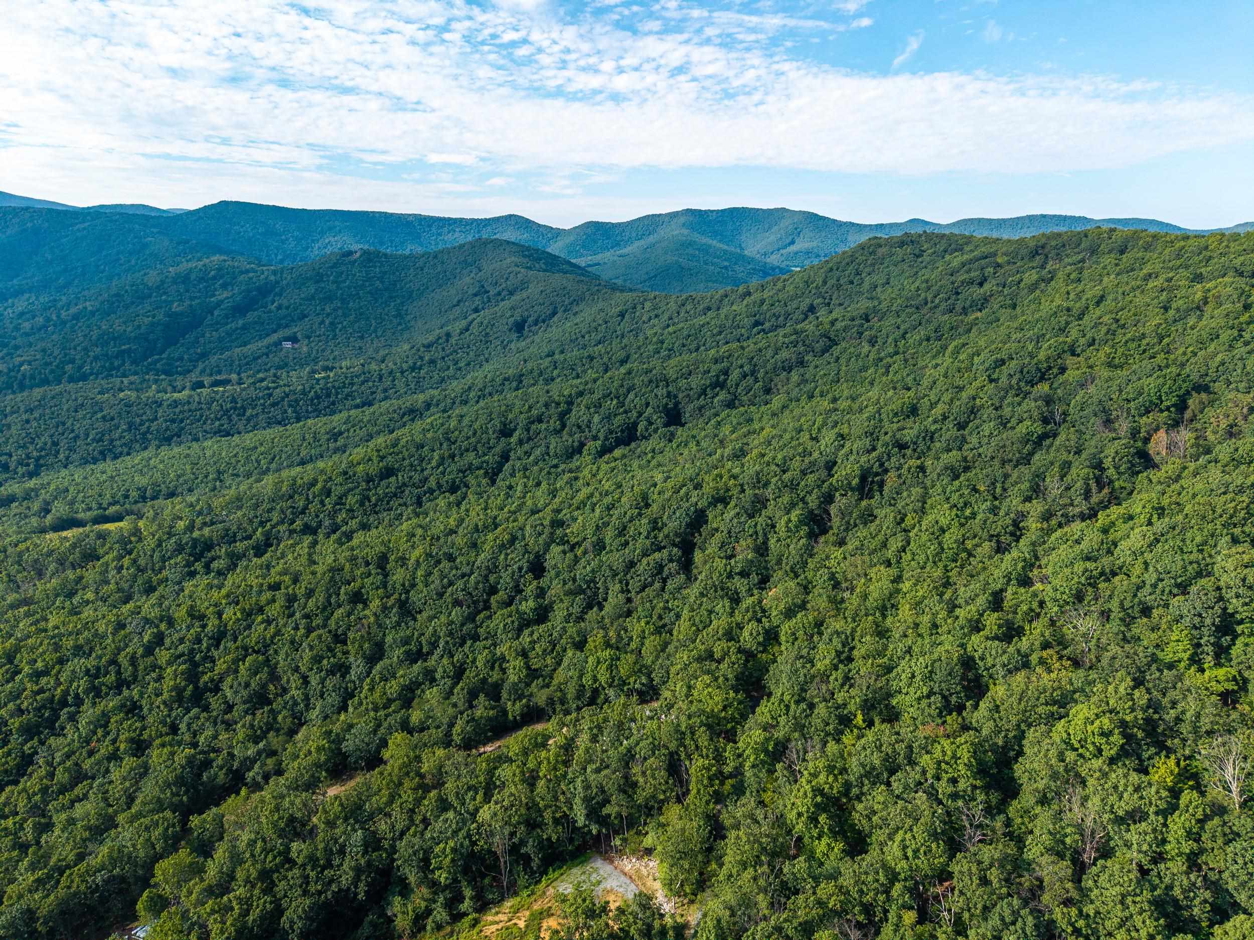 0 ROUNDHEAD MOUNTAIN RD, STANLEY, Virginia 22851, ,Land,0 ROUNDHEAD MOUNTAIN RD,680626 MLS # 680626 0 ROUNDHEAD MOUNTAIN RD, STANLEY, Virginia 22851, ,Land,0 ROUNDHEAD MOUNTAIN RD,680626 MLS # 680626