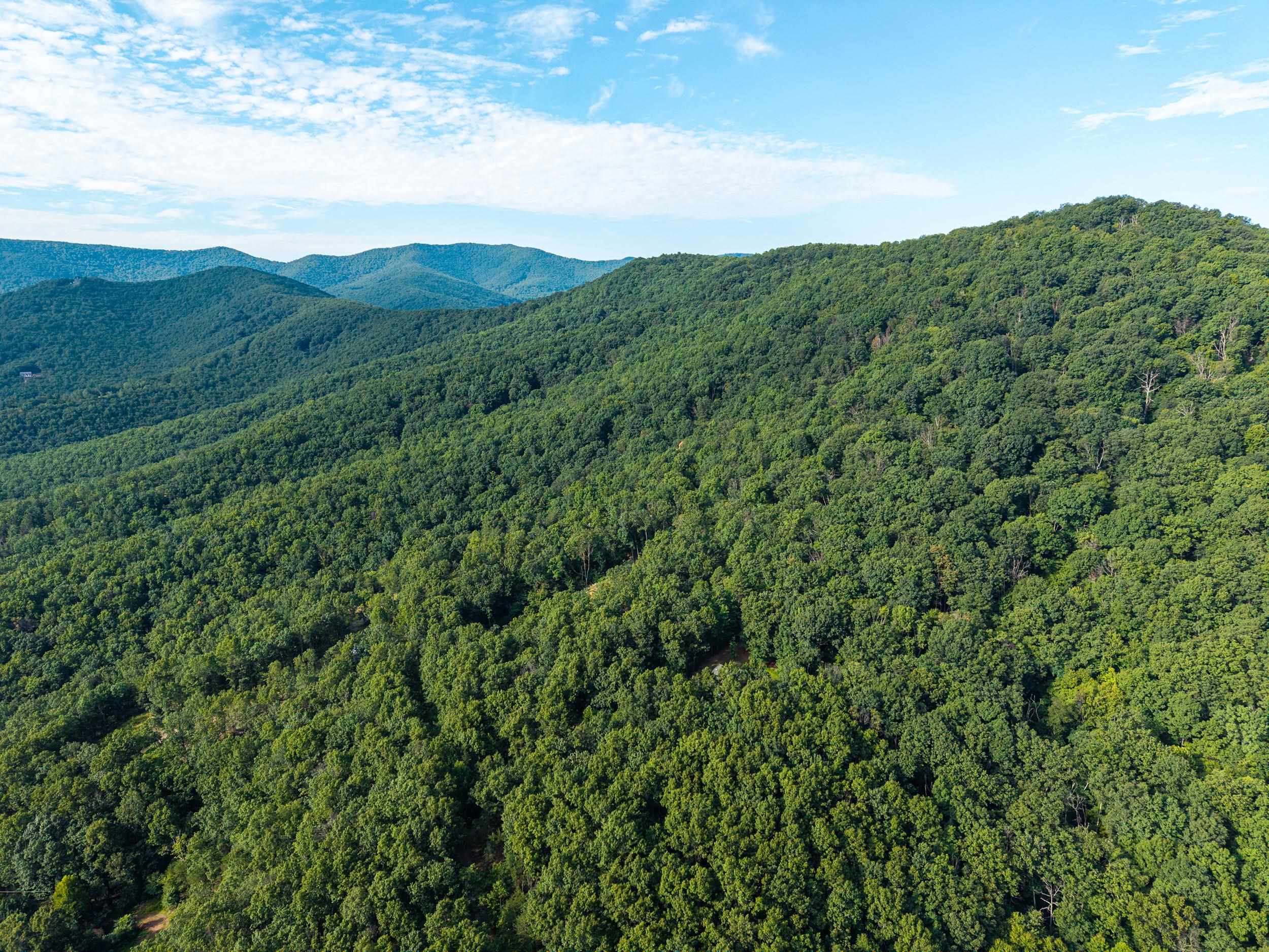 0 ROUNDHEAD MOUNTAIN RD, STANLEY, Virginia 22851, ,Land,0 ROUNDHEAD MOUNTAIN RD,680626 MLS # 680626 0 ROUNDHEAD MOUNTAIN RD, STANLEY, Virginia 22851, ,Land,0 ROUNDHEAD MOUNTAIN RD,680626 MLS # 680626
