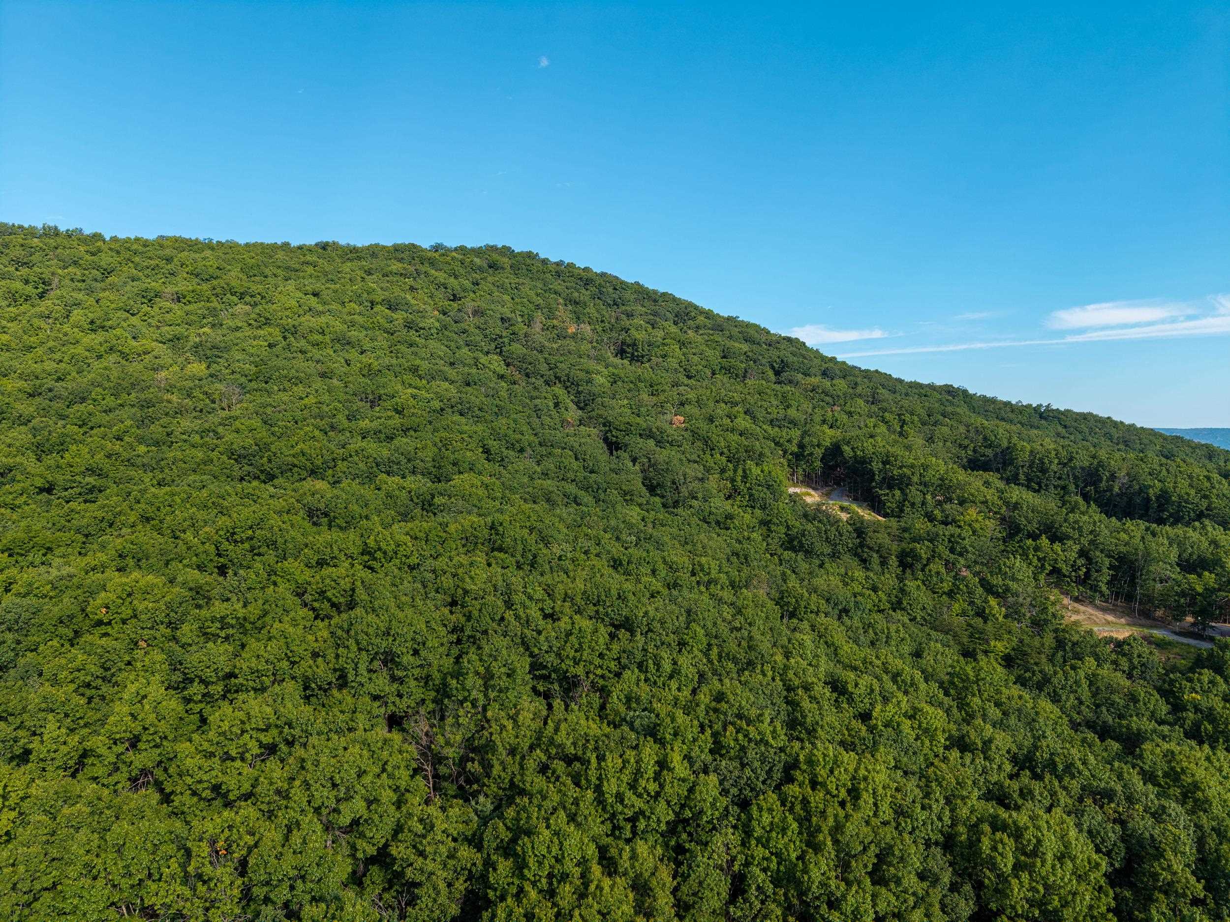 0 ROUNDHEAD MOUNTAIN RD, STANLEY, Virginia 22851, ,Land,0 ROUNDHEAD MOUNTAIN RD,680626 MLS # 680626 0 ROUNDHEAD MOUNTAIN RD, STANLEY, Virginia 22851, ,Land,0 ROUNDHEAD MOUNTAIN RD,680626 MLS # 680626
