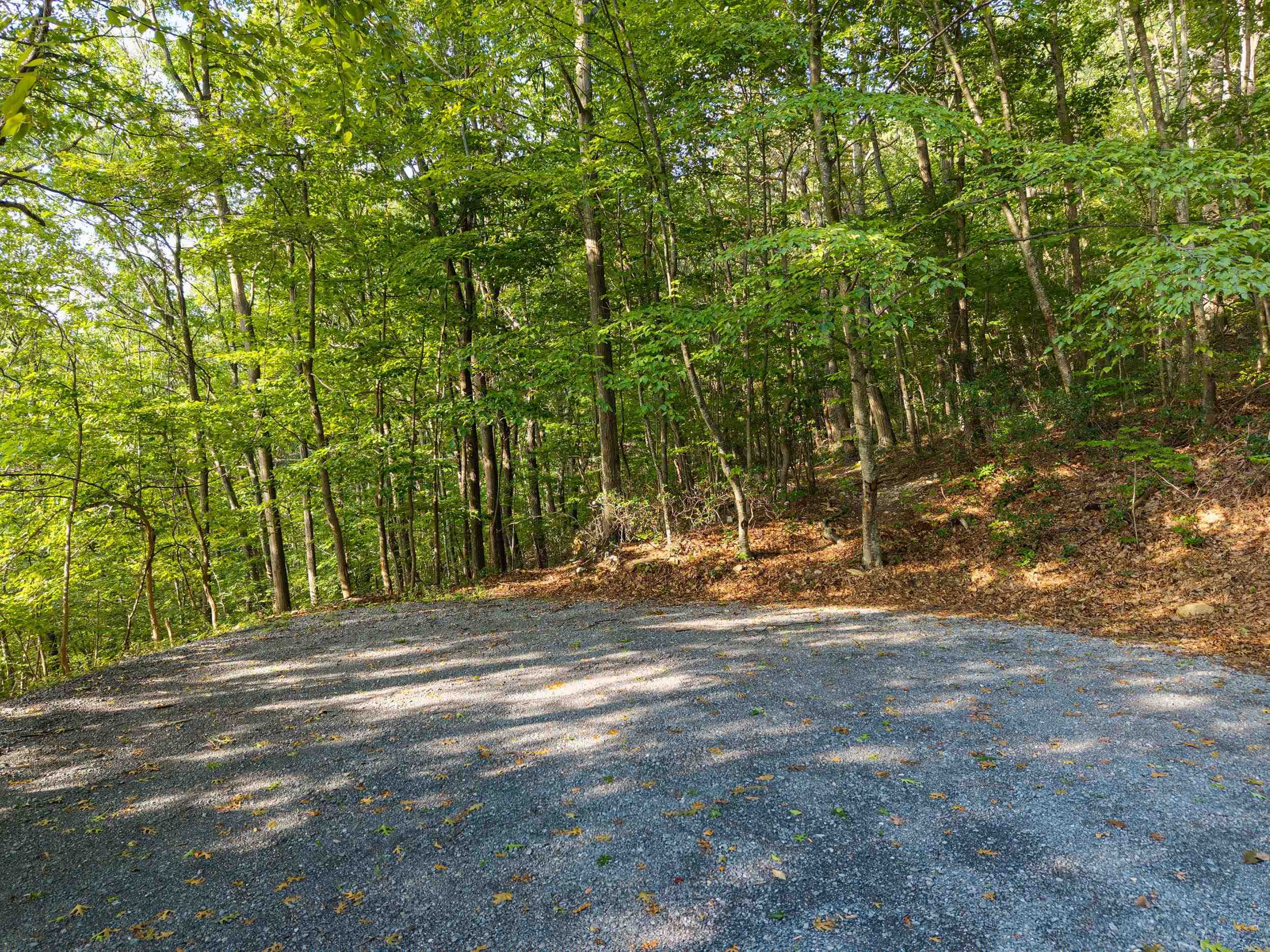 0 ROUNDHEAD MOUNTAIN RD, STANLEY, Virginia 22851, ,Land,0 ROUNDHEAD MOUNTAIN RD,680626 MLS # 680626 0 ROUNDHEAD MOUNTAIN RD, STANLEY, Virginia 22851, ,Land,0 ROUNDHEAD MOUNTAIN RD,680626 MLS # 680626