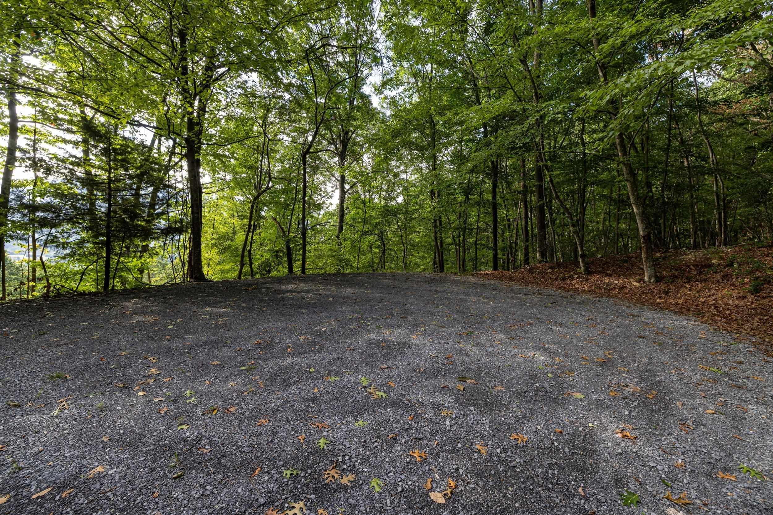 0 ROUNDHEAD MOUNTAIN RD, STANLEY, Virginia 22851, ,Land,0 ROUNDHEAD MOUNTAIN RD,680626 MLS # 680626 0 ROUNDHEAD MOUNTAIN RD, STANLEY, Virginia 22851, ,Land,0 ROUNDHEAD MOUNTAIN RD,680626 MLS # 680626