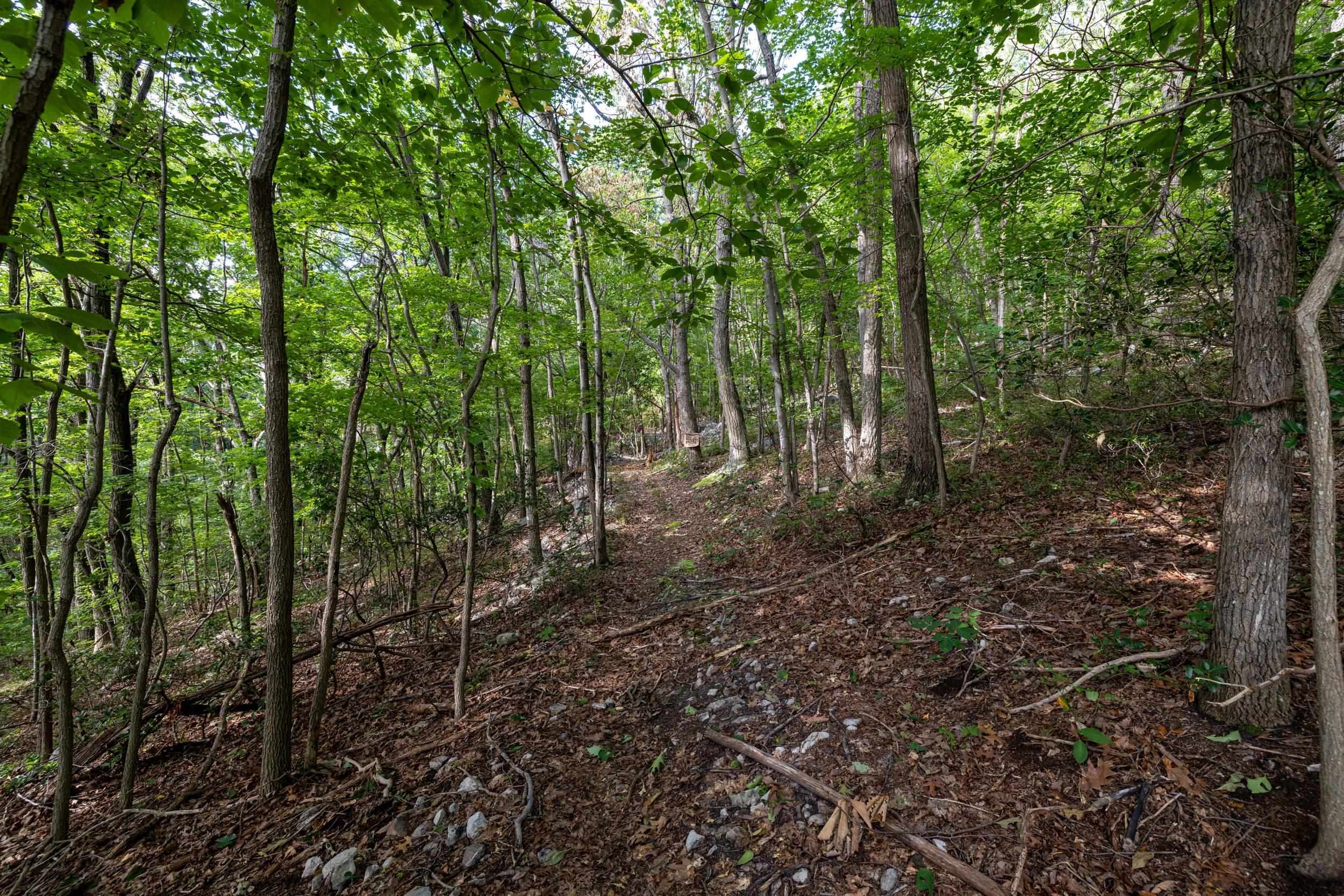 0 ROUNDHEAD MOUNTAIN RD, STANLEY, Virginia 22851, ,Land,0 ROUNDHEAD MOUNTAIN RD,680626 MLS # 680626 0 ROUNDHEAD MOUNTAIN RD, STANLEY, Virginia 22851, ,Land,0 ROUNDHEAD MOUNTAIN RD,680626 MLS # 680626