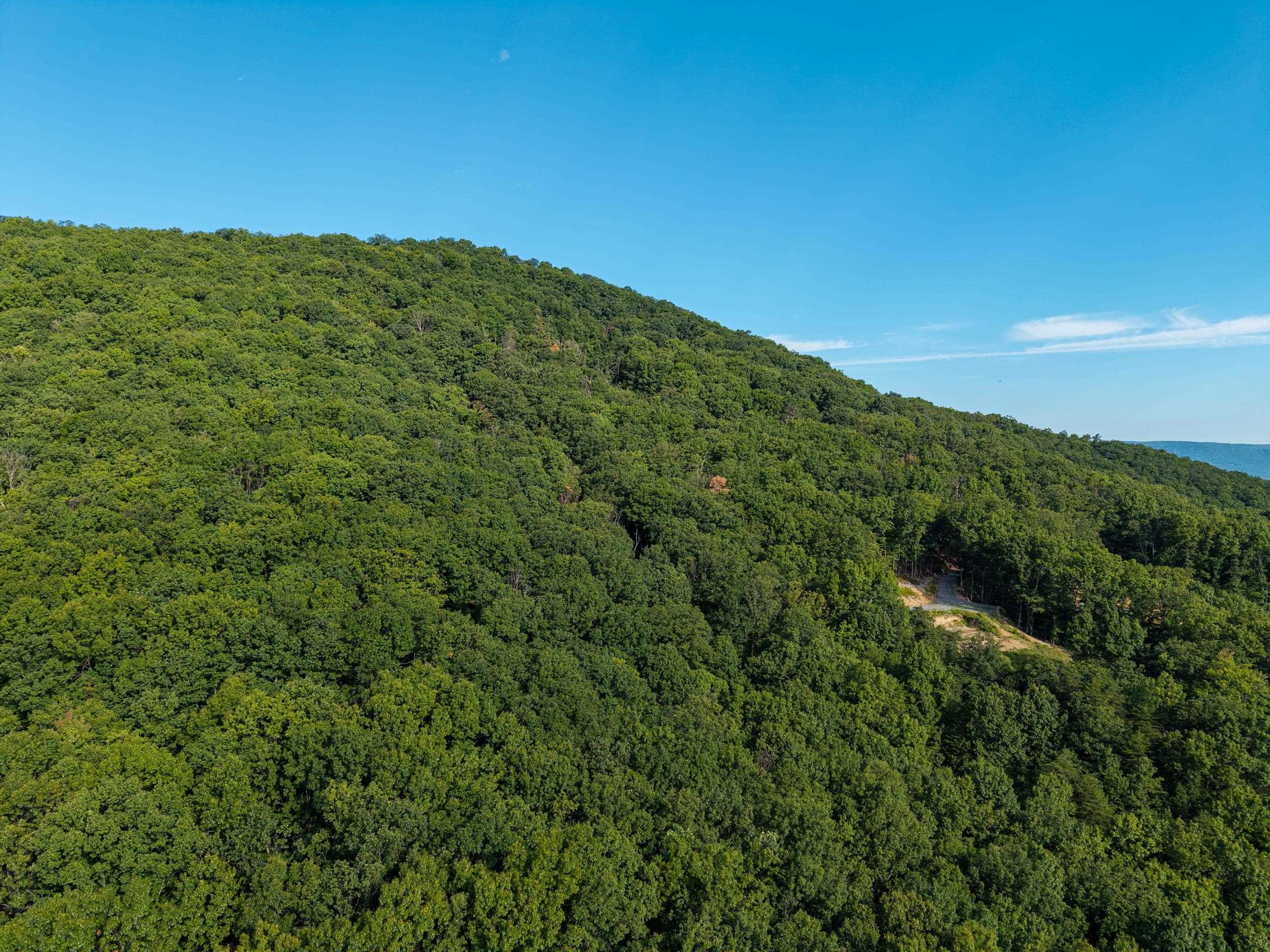 0 ROUNDHEAD MOUNTAIN RD, STANLEY, Virginia 22851, ,Land,0 ROUNDHEAD MOUNTAIN RD,680626 MLS # 680626 0 ROUNDHEAD MOUNTAIN RD, STANLEY, Virginia 22851, ,Land,0 ROUNDHEAD MOUNTAIN RD,680626 MLS # 680626