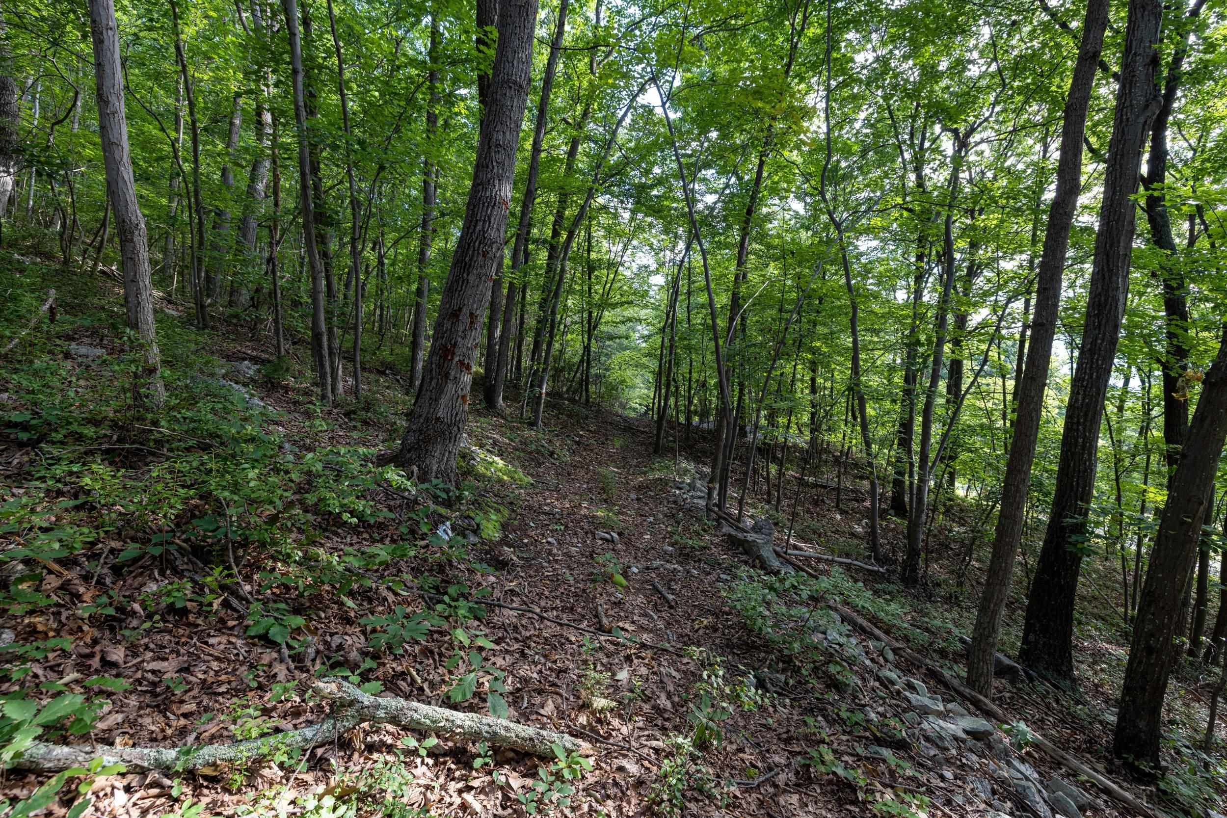0 ROUNDHEAD MOUNTAIN RD, STANLEY, Virginia 22851, ,Land,0 ROUNDHEAD MOUNTAIN RD,680626 MLS # 680626 0 ROUNDHEAD MOUNTAIN RD, STANLEY, Virginia 22851, ,Land,0 ROUNDHEAD MOUNTAIN RD,680626 MLS # 680626