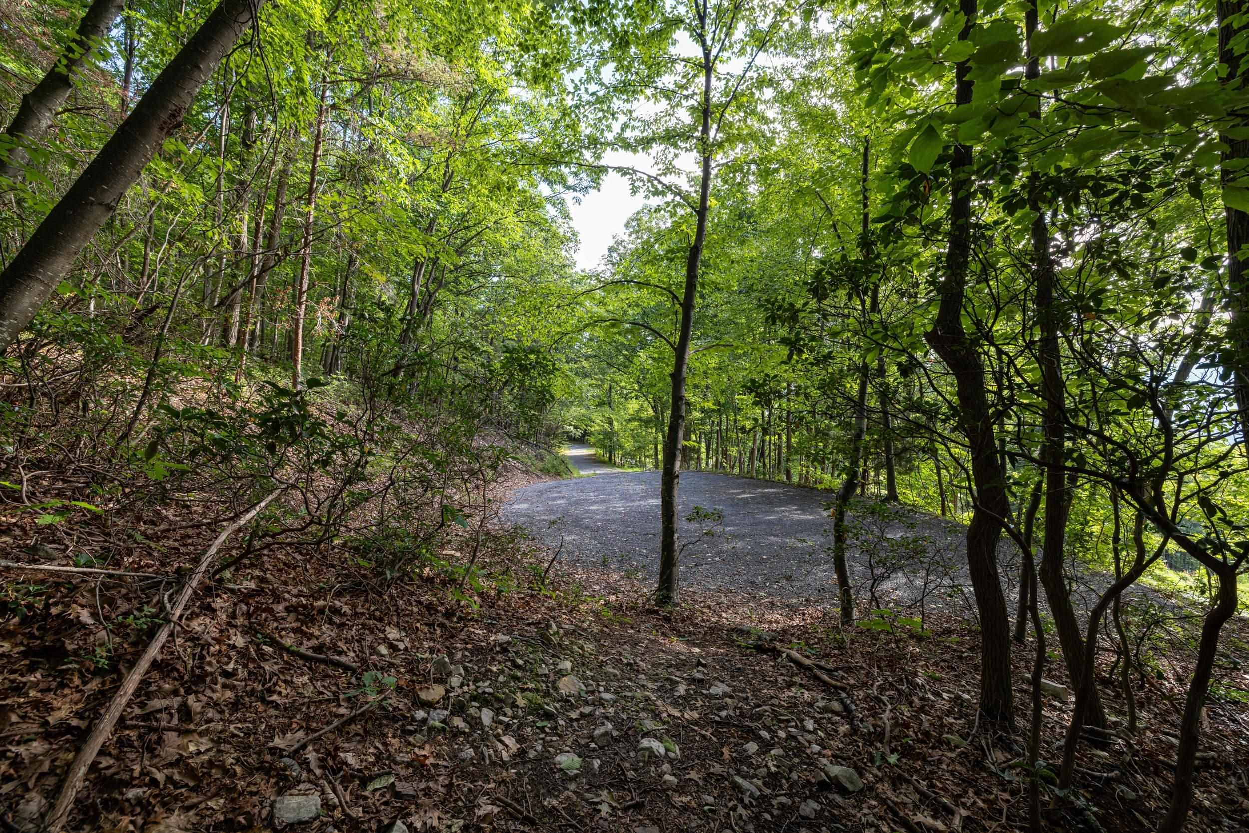 0 ROUNDHEAD MOUNTAIN RD, STANLEY, Virginia 22851, ,Land,0 ROUNDHEAD MOUNTAIN RD,680626 MLS # 680626 0 ROUNDHEAD MOUNTAIN RD, STANLEY, Virginia 22851, ,Land,0 ROUNDHEAD MOUNTAIN RD,680626 MLS # 680626