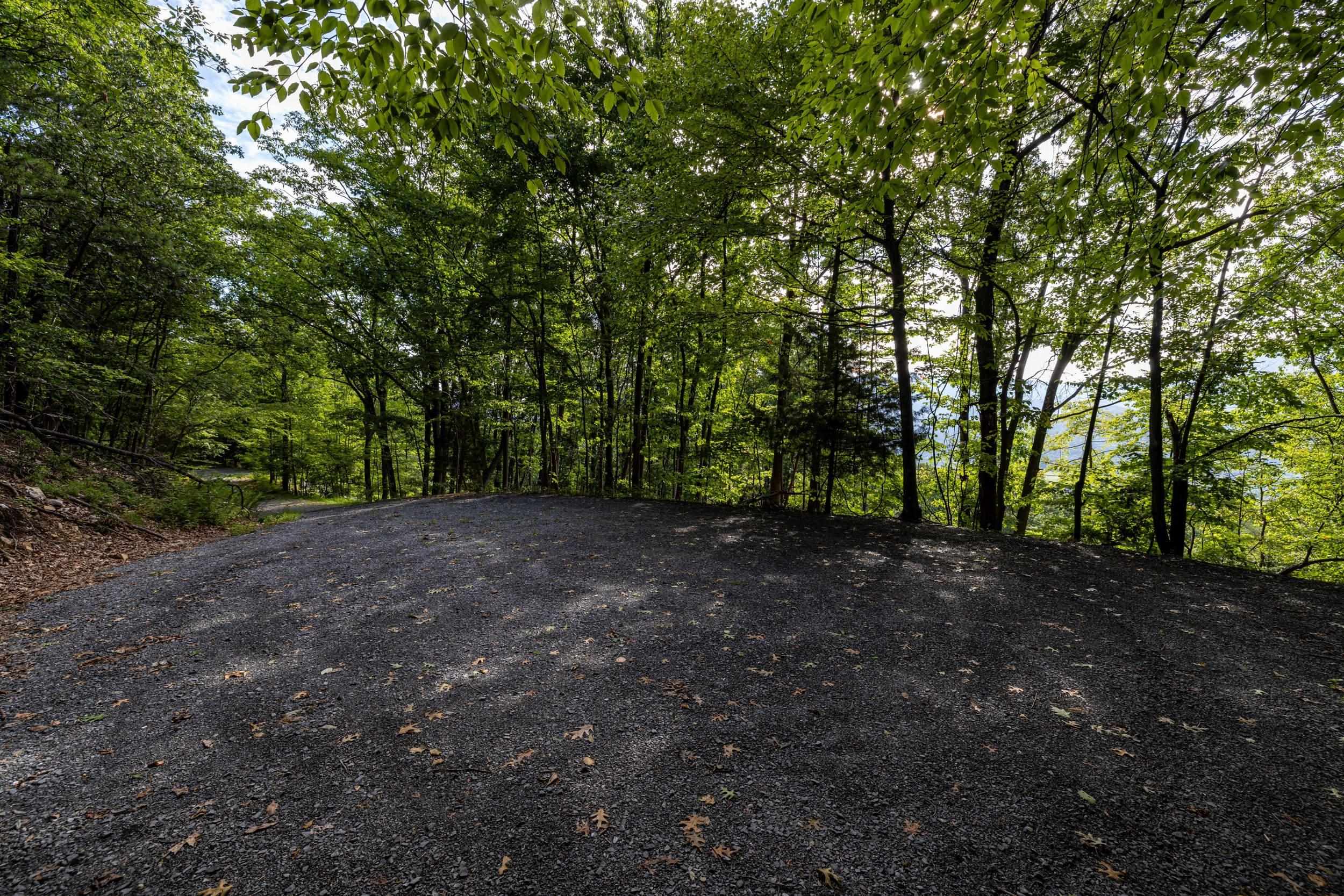 0 ROUNDHEAD MOUNTAIN RD, STANLEY, Virginia 22851, ,Land,0 ROUNDHEAD MOUNTAIN RD,680626 MLS # 680626 0 ROUNDHEAD MOUNTAIN RD, STANLEY, Virginia 22851, ,Land,0 ROUNDHEAD MOUNTAIN RD,680626 MLS # 680626