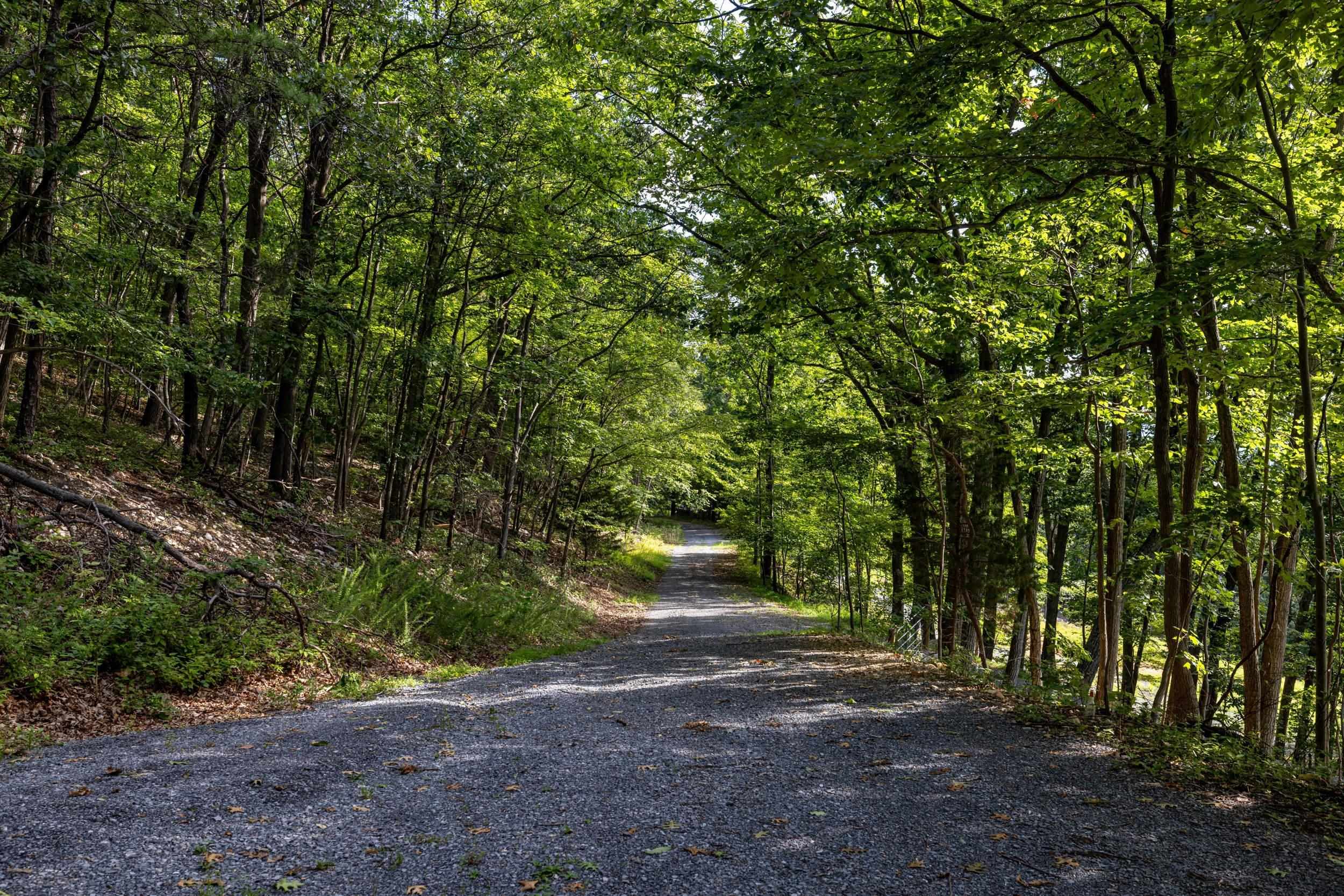 0 ROUNDHEAD MOUNTAIN RD, STANLEY, Virginia 22851, ,Land,0 ROUNDHEAD MOUNTAIN RD,680626 MLS # 680626 0 ROUNDHEAD MOUNTAIN RD, STANLEY, Virginia 22851, ,Land,0 ROUNDHEAD MOUNTAIN RD,680626 MLS # 680626