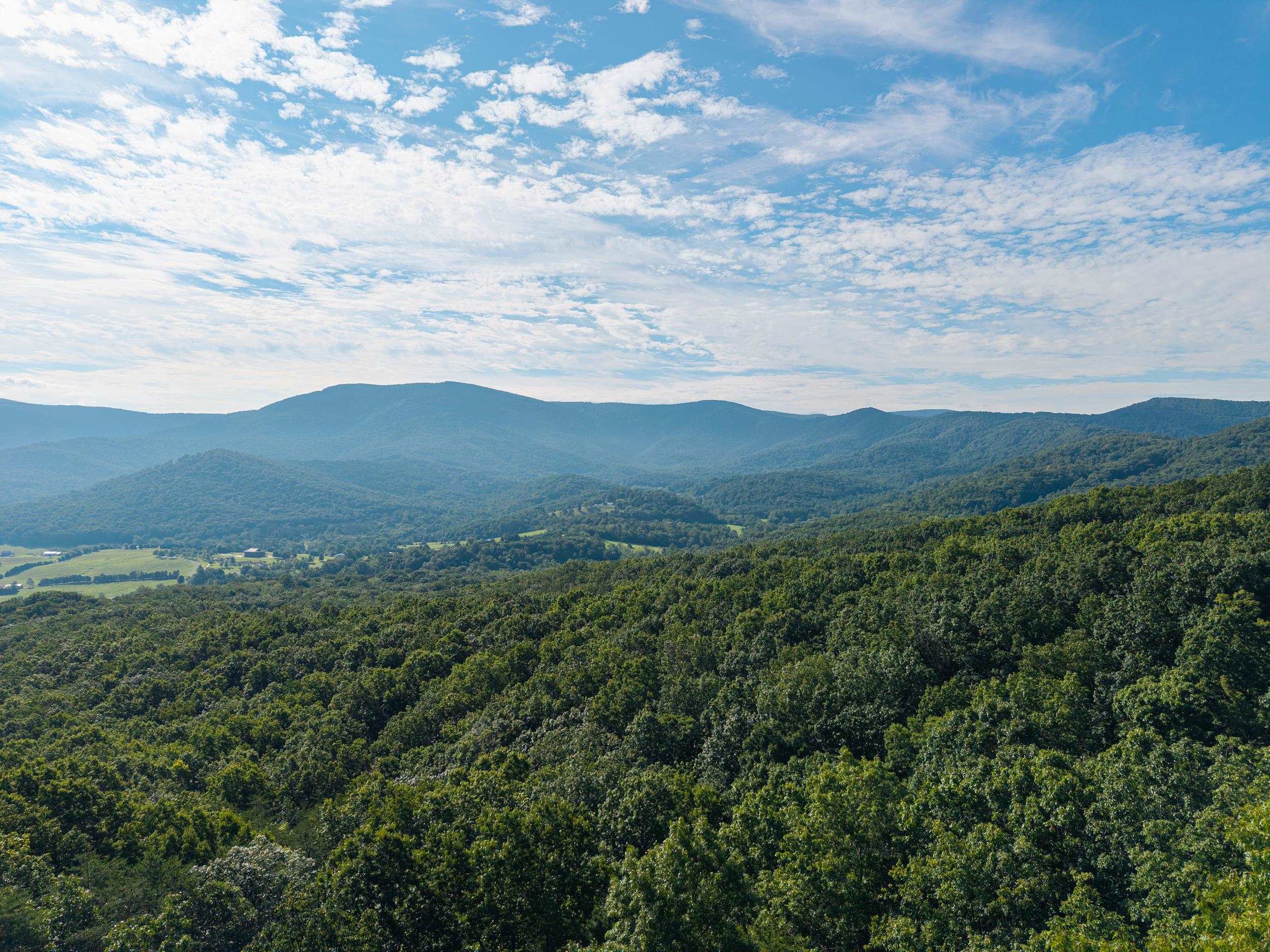 0 ROUNDHEAD MOUNTAIN RD, STANLEY, Virginia 22851, ,Land,0 ROUNDHEAD MOUNTAIN RD,680626 MLS # 680626 0 ROUNDHEAD MOUNTAIN RD, STANLEY, Virginia 22851, ,Land,0 ROUNDHEAD MOUNTAIN RD,680626 MLS # 680626