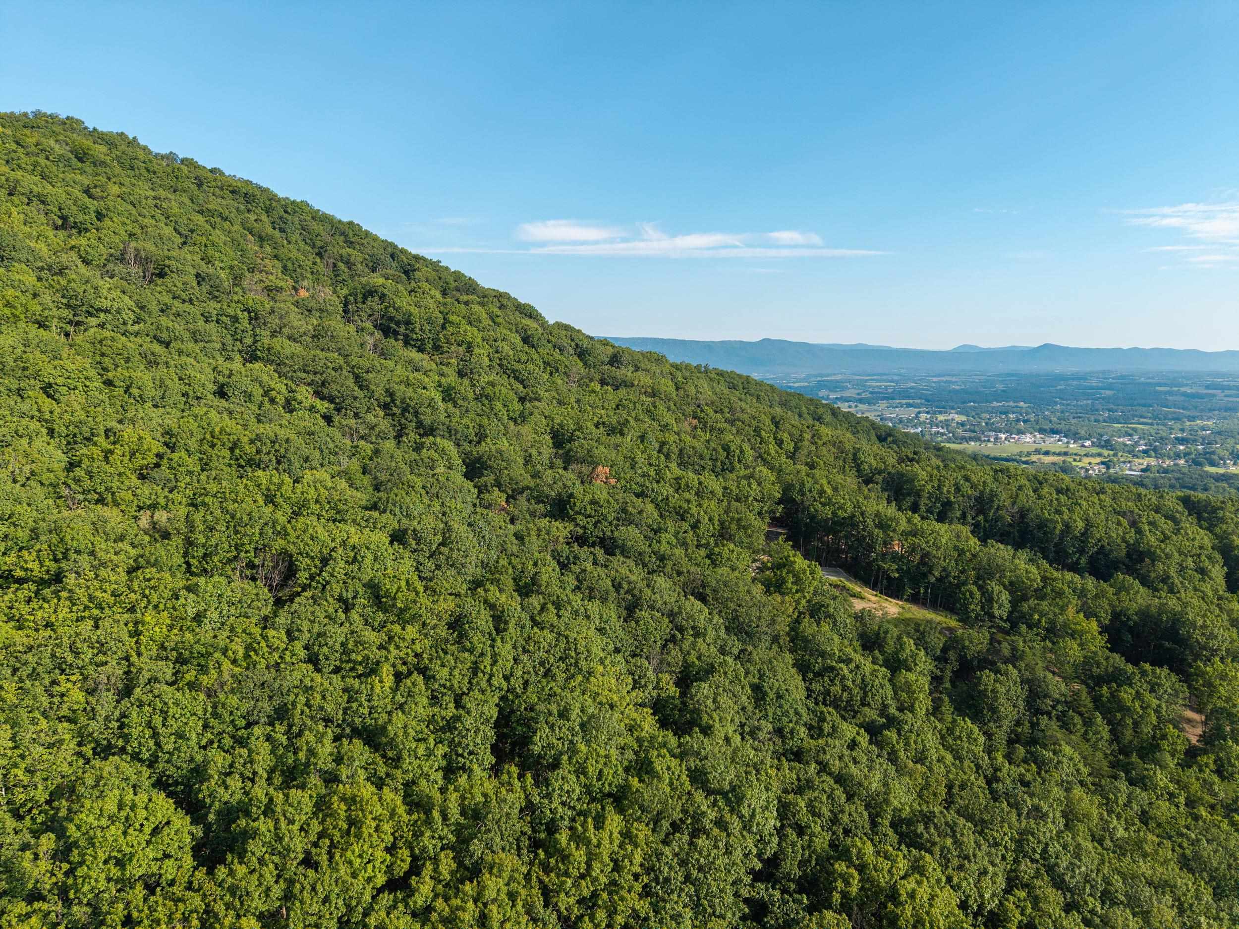 0 ROUNDHEAD MOUNTAIN RD, STANLEY, Virginia 22851, ,Land,0 ROUNDHEAD MOUNTAIN RD,680626 MLS # 680626 0 ROUNDHEAD MOUNTAIN RD, STANLEY, Virginia 22851, ,Land,0 ROUNDHEAD MOUNTAIN RD,680626 MLS # 680626