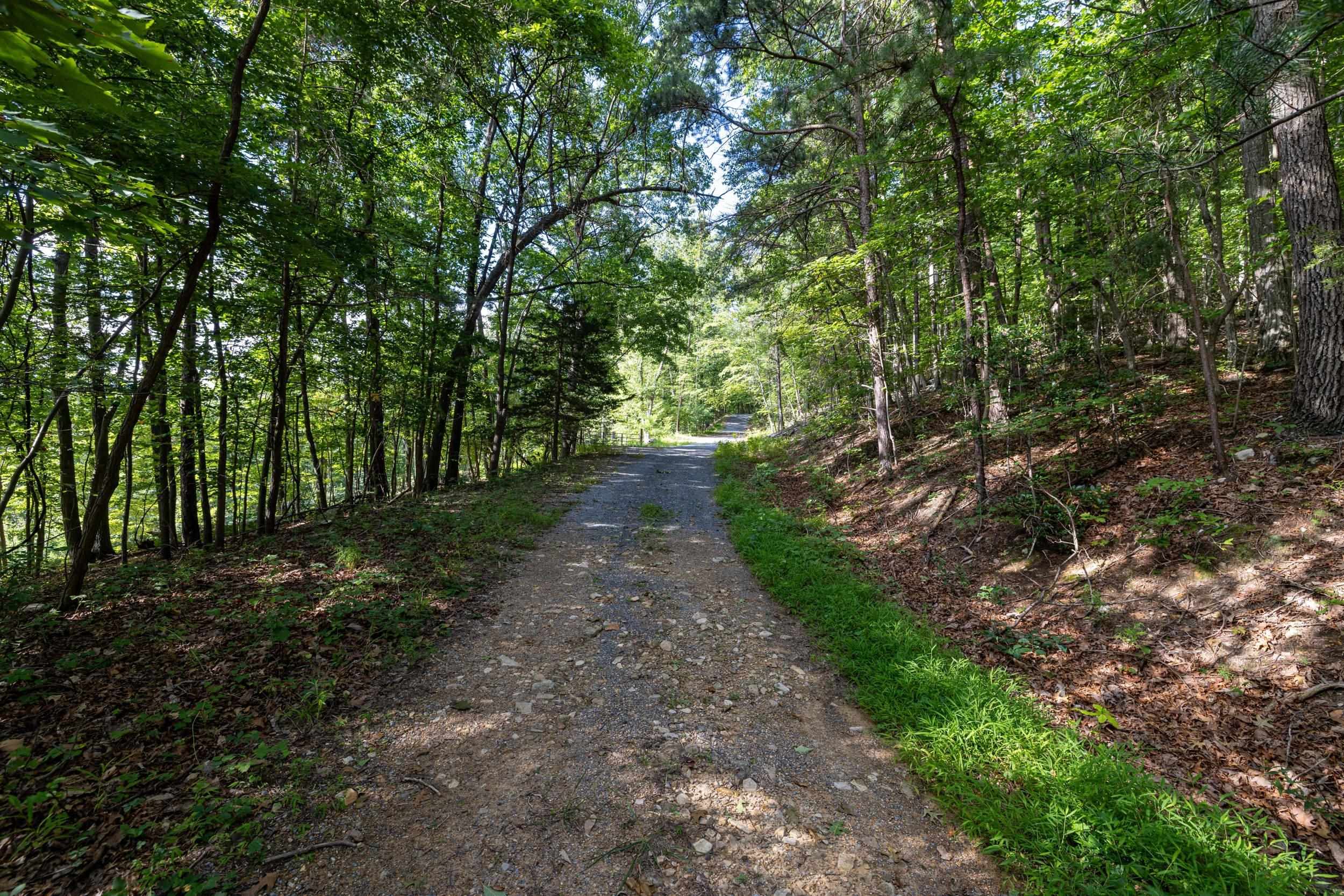 0 ROUNDHEAD MOUNTAIN RD, STANLEY, Virginia 22851, ,Land,0 ROUNDHEAD MOUNTAIN RD,680626 MLS # 680626 0 ROUNDHEAD MOUNTAIN RD, STANLEY, Virginia 22851, ,Land,0 ROUNDHEAD MOUNTAIN RD,680626 MLS # 680626