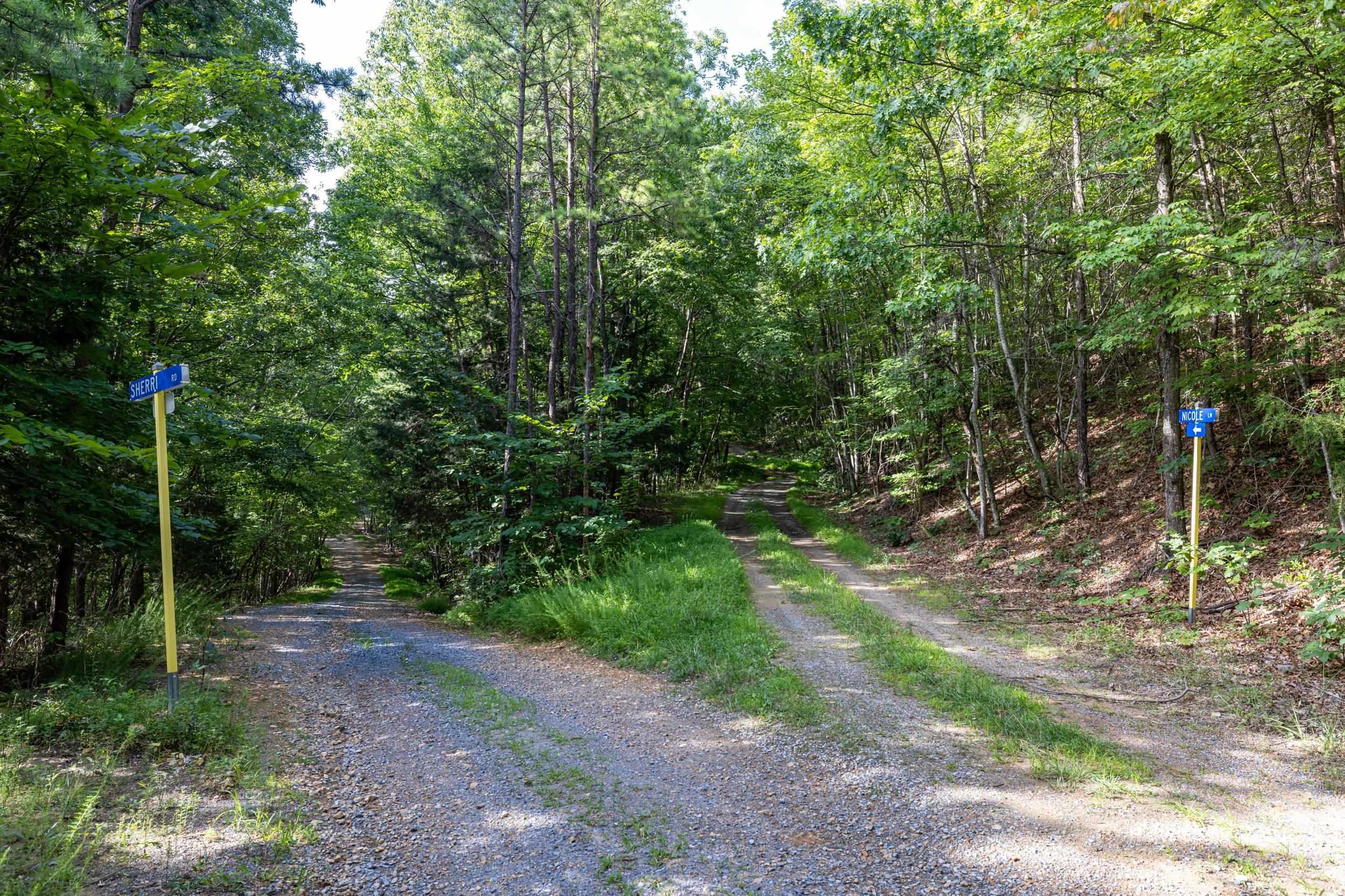 0 ROUNDHEAD MOUNTAIN RD, STANLEY, Virginia 22851, ,Land,0 ROUNDHEAD MOUNTAIN RD,680626 MLS # 680626 0 ROUNDHEAD MOUNTAIN RD, STANLEY, Virginia 22851, ,Land,0 ROUNDHEAD MOUNTAIN RD,680626 MLS # 680626
