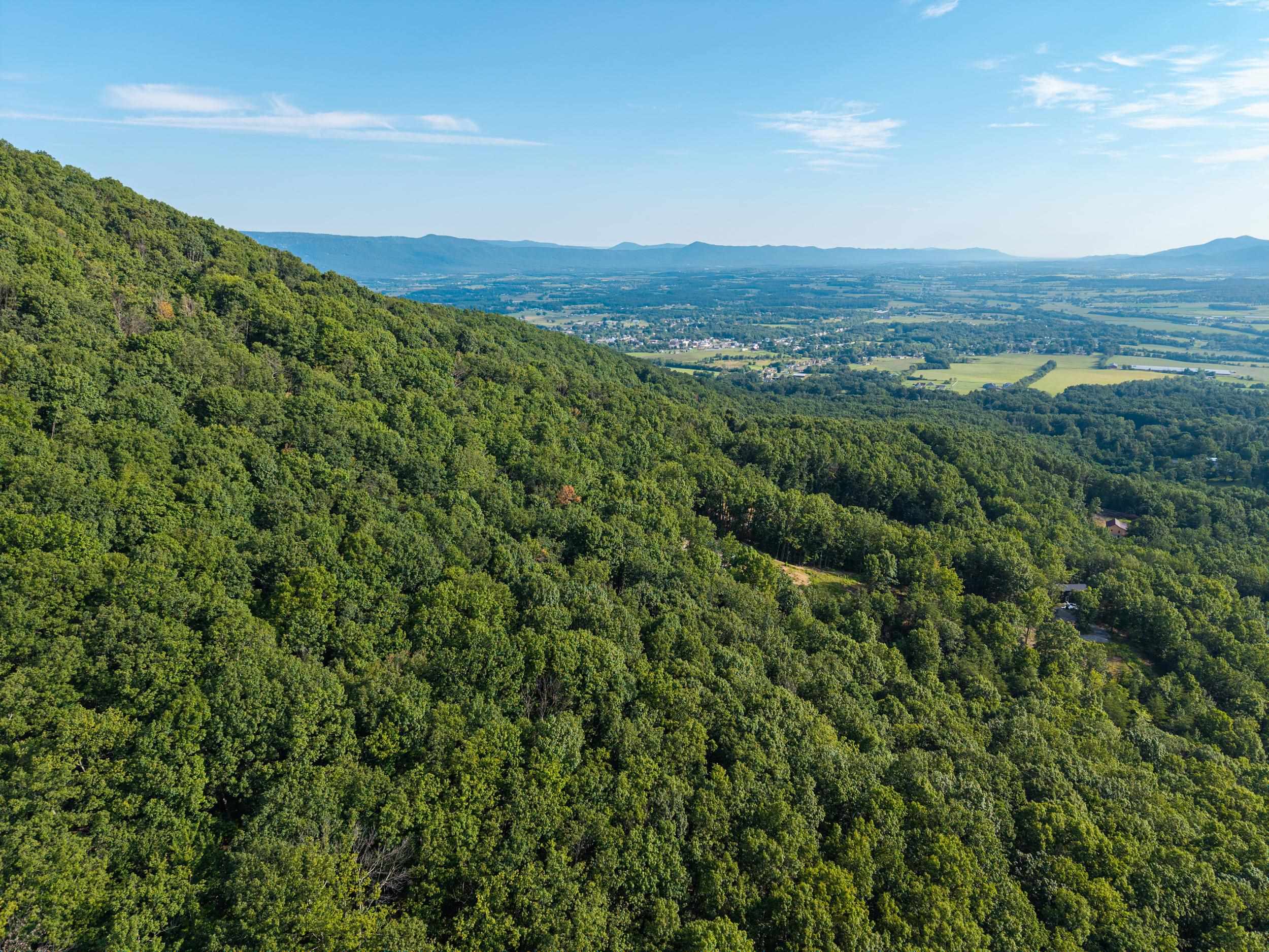 0 ROUNDHEAD MOUNTAIN RD, STANLEY, Virginia 22851, ,Land,0 ROUNDHEAD MOUNTAIN RD,680626 MLS # 680626 0 ROUNDHEAD MOUNTAIN RD, STANLEY, Virginia 22851, ,Land,0 ROUNDHEAD MOUNTAIN RD,680626 MLS # 680626