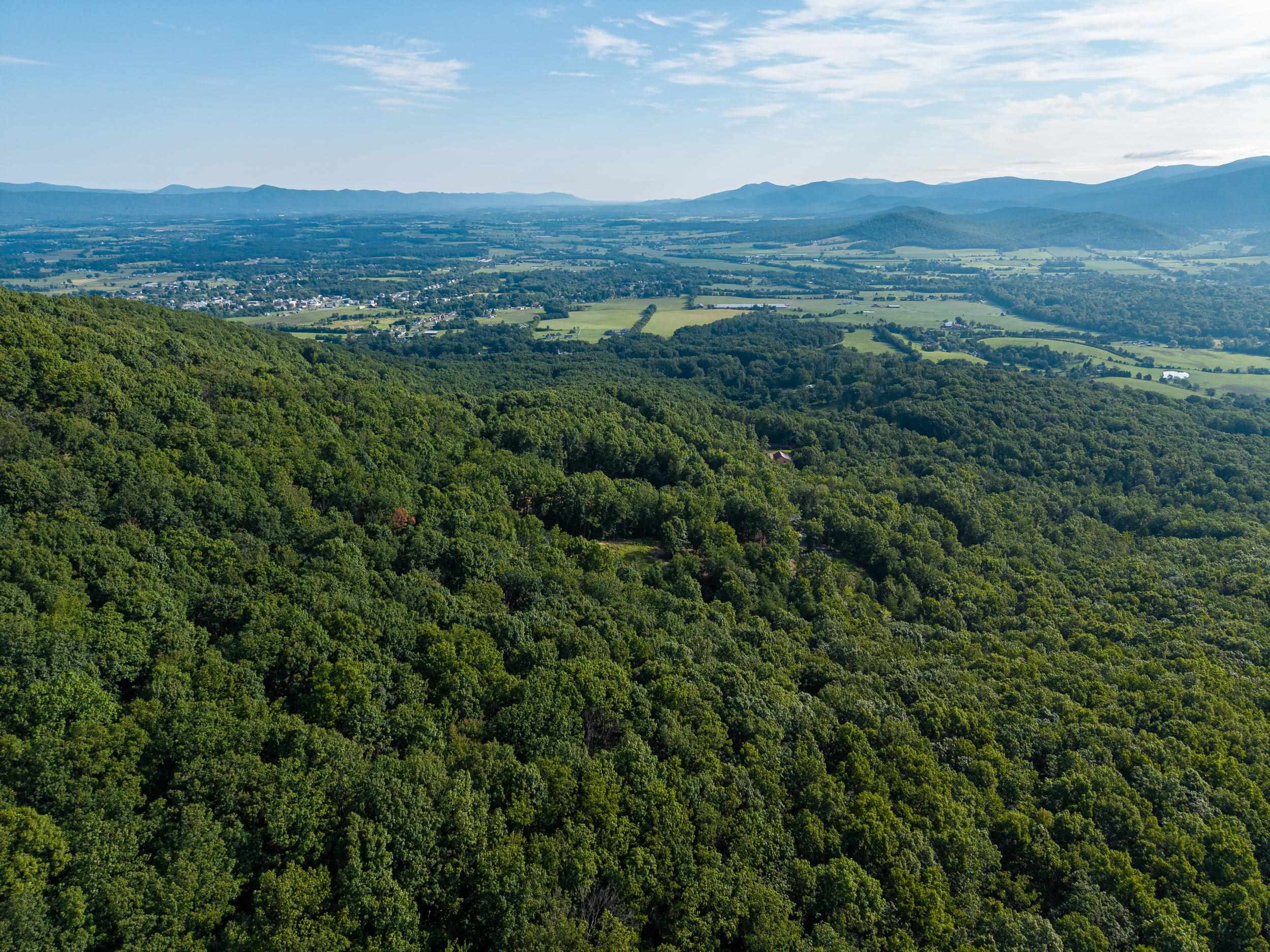 0 ROUNDHEAD MOUNTAIN RD, STANLEY, Virginia 22851, ,Land,0 ROUNDHEAD MOUNTAIN RD,680626 MLS # 680626 0 ROUNDHEAD MOUNTAIN RD, STANLEY, Virginia 22851, ,Land,0 ROUNDHEAD MOUNTAIN RD,680626 MLS # 680626