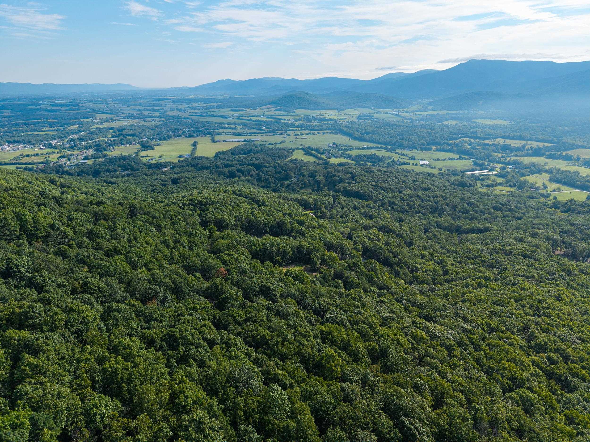 0 ROUNDHEAD MOUNTAIN RD, STANLEY, Virginia 22851, ,Land,0 ROUNDHEAD MOUNTAIN RD,680626 MLS # 680626 0 ROUNDHEAD MOUNTAIN RD, STANLEY, Virginia 22851, ,Land,0 ROUNDHEAD MOUNTAIN RD,680626 MLS # 680626