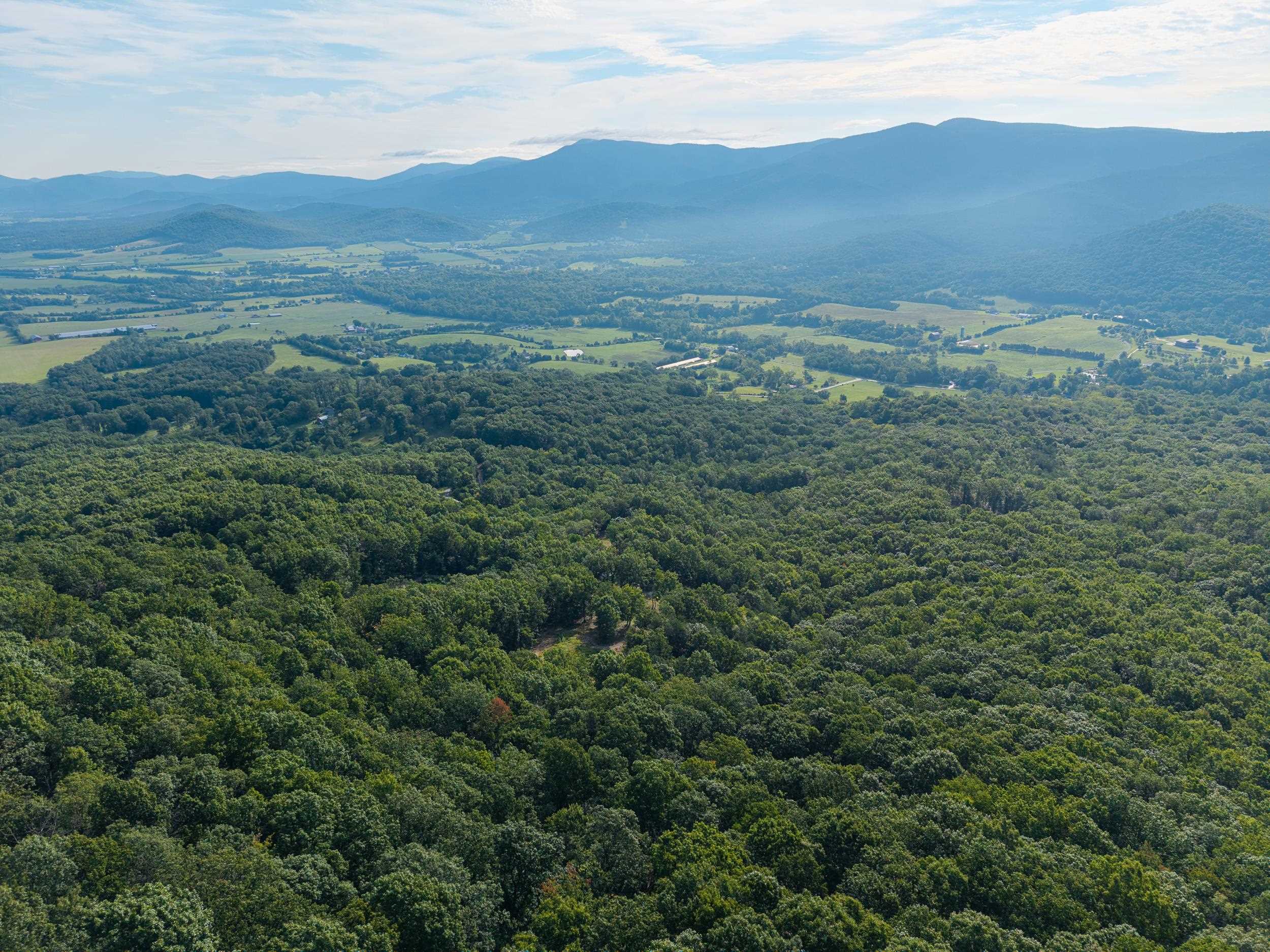 0 ROUNDHEAD MOUNTAIN RD, STANLEY, Virginia 22851, ,Land,0 ROUNDHEAD MOUNTAIN RD,680626 MLS # 680626 0 ROUNDHEAD MOUNTAIN RD, STANLEY, Virginia 22851, ,Land,0 ROUNDHEAD MOUNTAIN RD,680626 MLS # 680626
