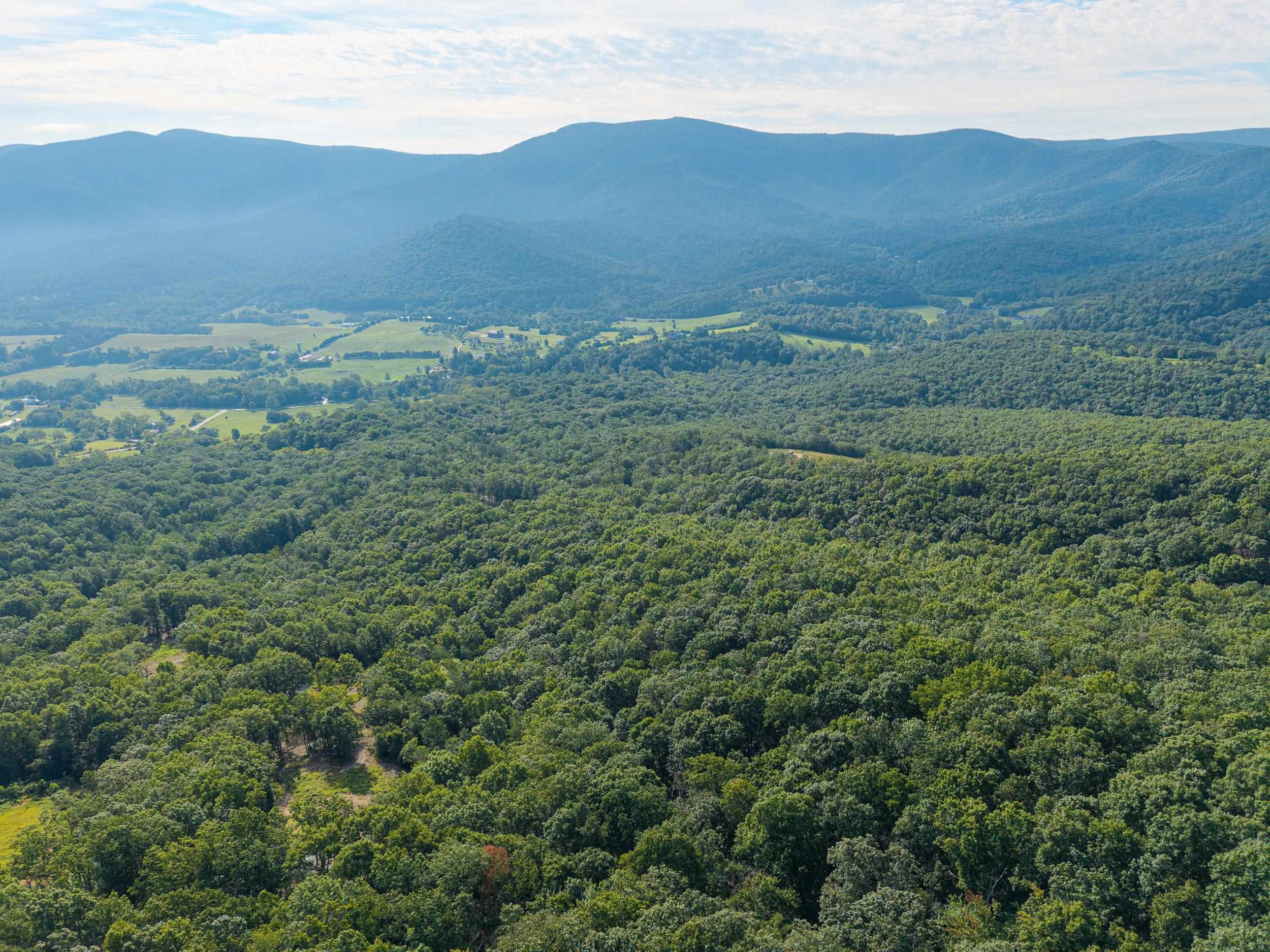 0 ROUNDHEAD MOUNTAIN RD, STANLEY, Virginia 22851, ,Land,0 ROUNDHEAD MOUNTAIN RD,680626 MLS # 680626 0 ROUNDHEAD MOUNTAIN RD, STANLEY, Virginia 22851, ,Land,0 ROUNDHEAD MOUNTAIN RD,680626 MLS # 680626