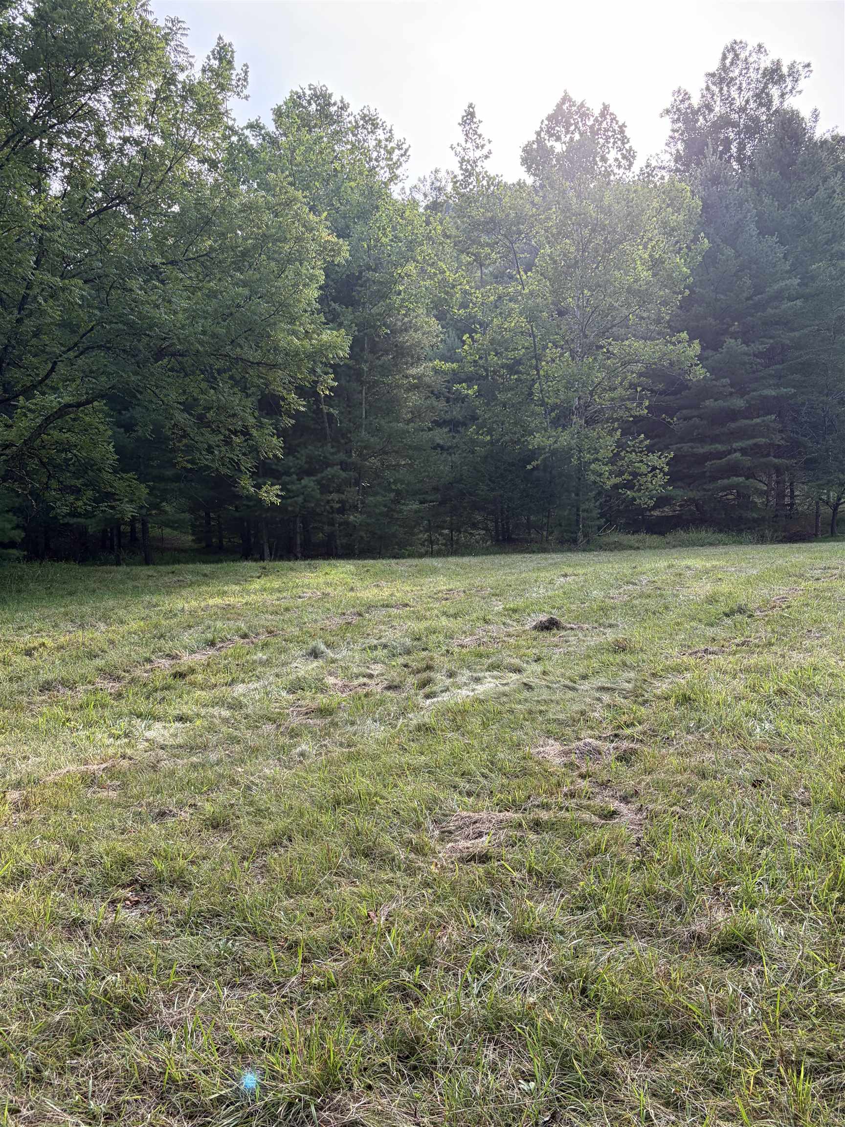 Lot 16 BOLSHERS RUN, MILLBORO, Virginia 24460, ,Land,Lot 16 BOLSHERS RUN,680634 MLS # 680634