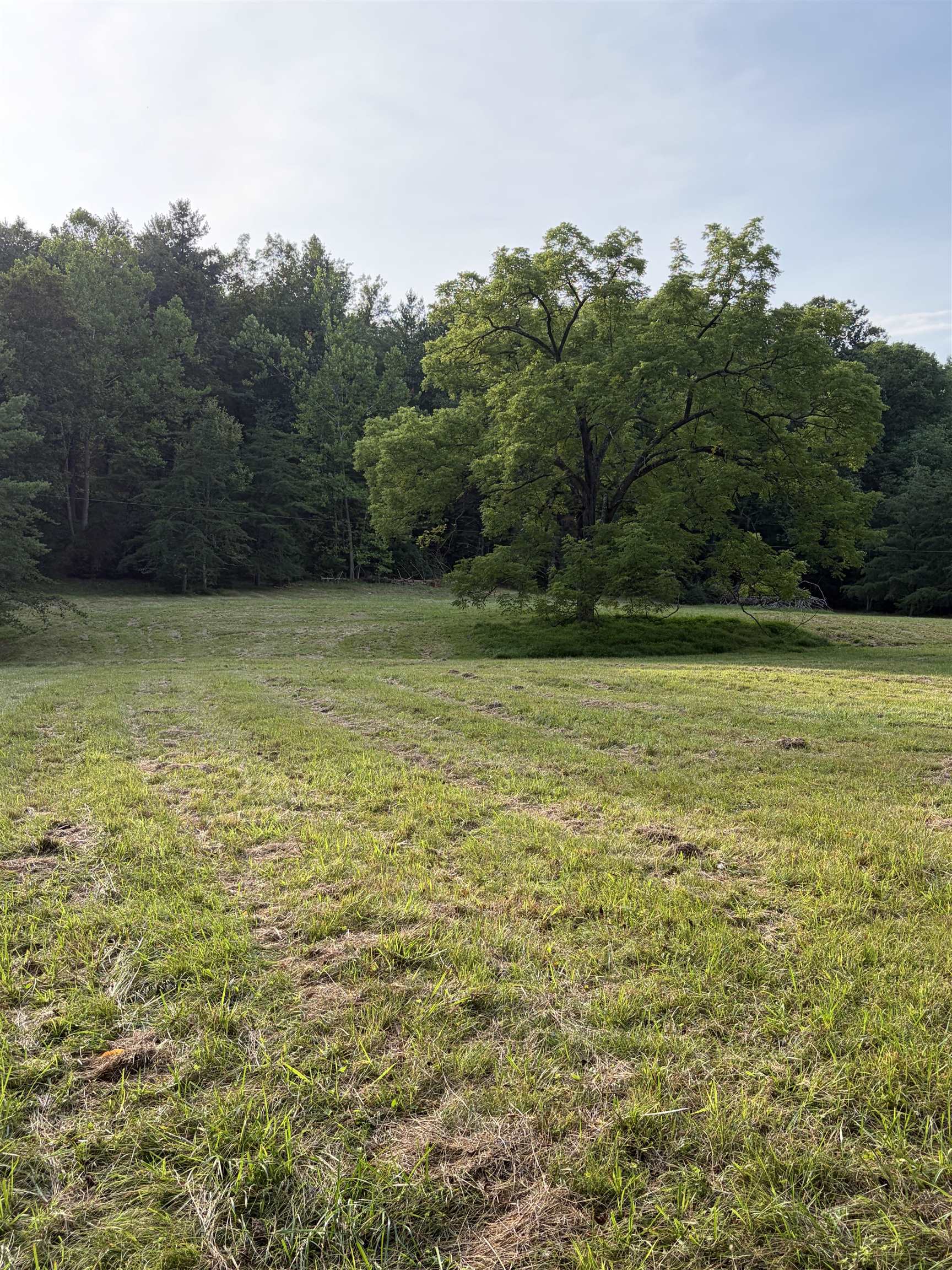 Lot 16 BOLSHERS RUN, MILLBORO, Virginia 24460, ,Land,Lot 16 BOLSHERS RUN,680634 MLS # 680634