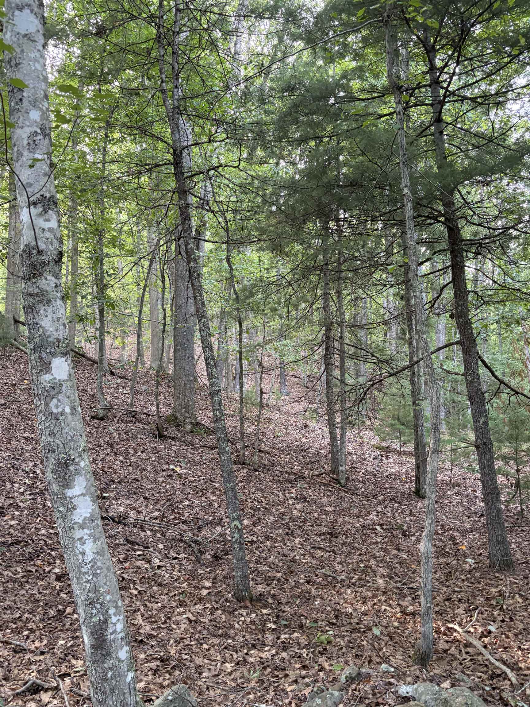 Lot 16 BOLSHERS RUN, MILLBORO, Virginia 24460, ,Land,Lot 16 BOLSHERS RUN,680634 MLS # 680634