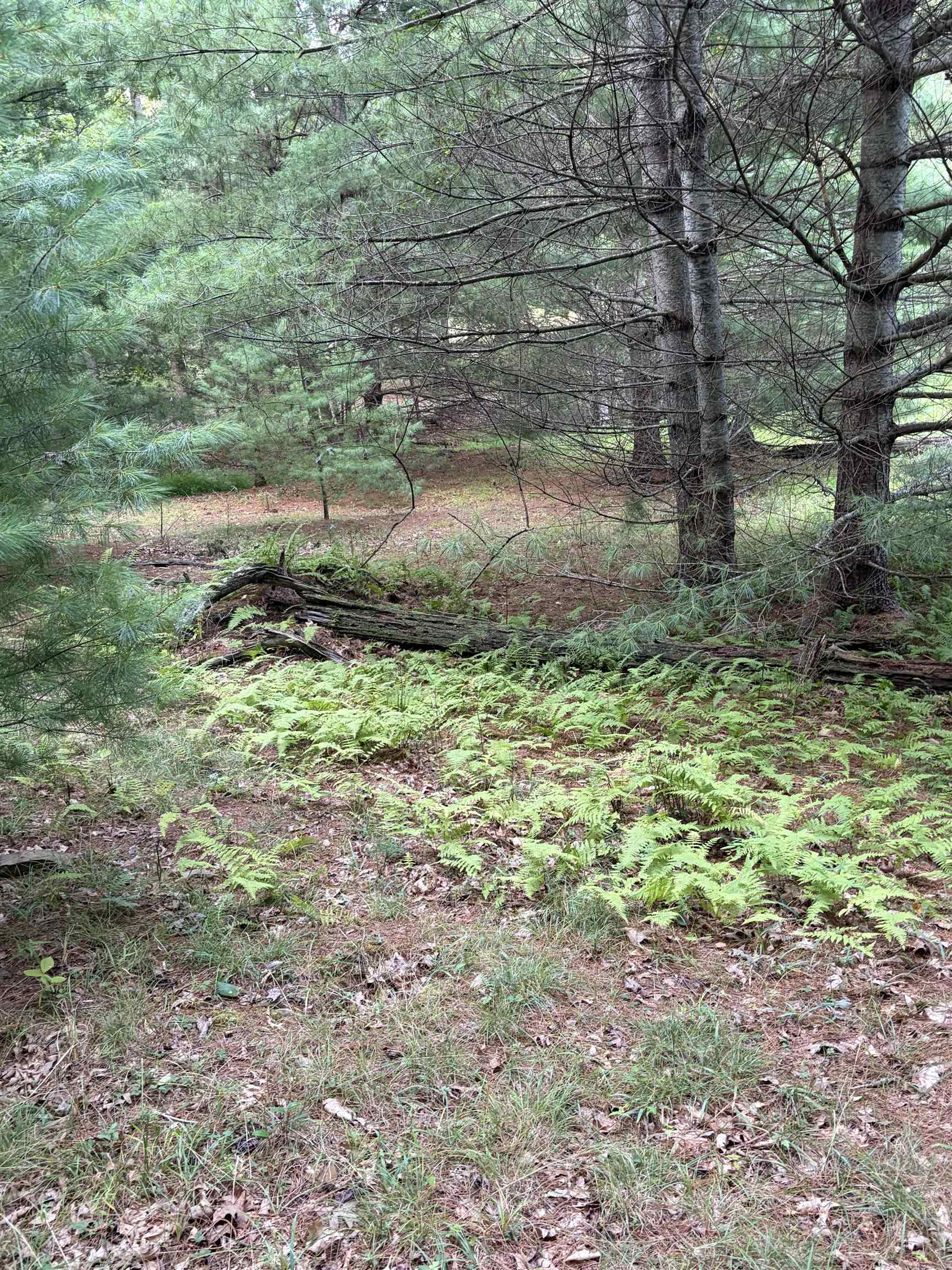 Lot 16 BOLSHERS RUN, MILLBORO, Virginia 24460, ,Land,Lot 16 BOLSHERS RUN,680634 MLS # 680634