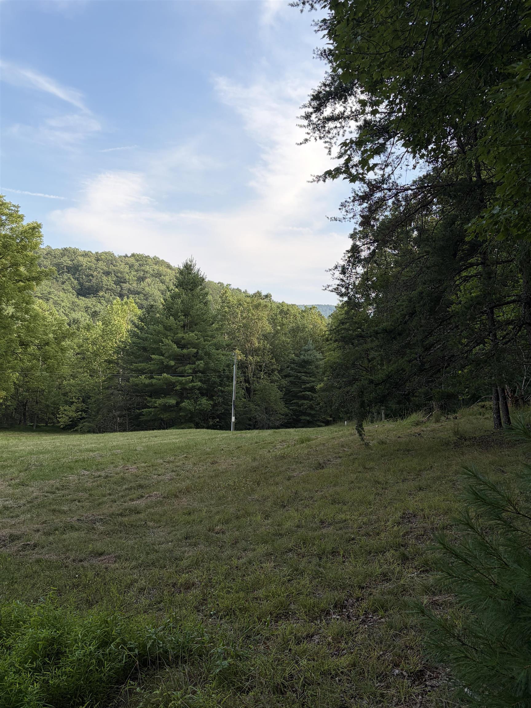 Lot 16 BOLSHERS RUN, MILLBORO, Virginia 24460, ,Land,Lot 16 BOLSHERS RUN,680634 MLS # 680634