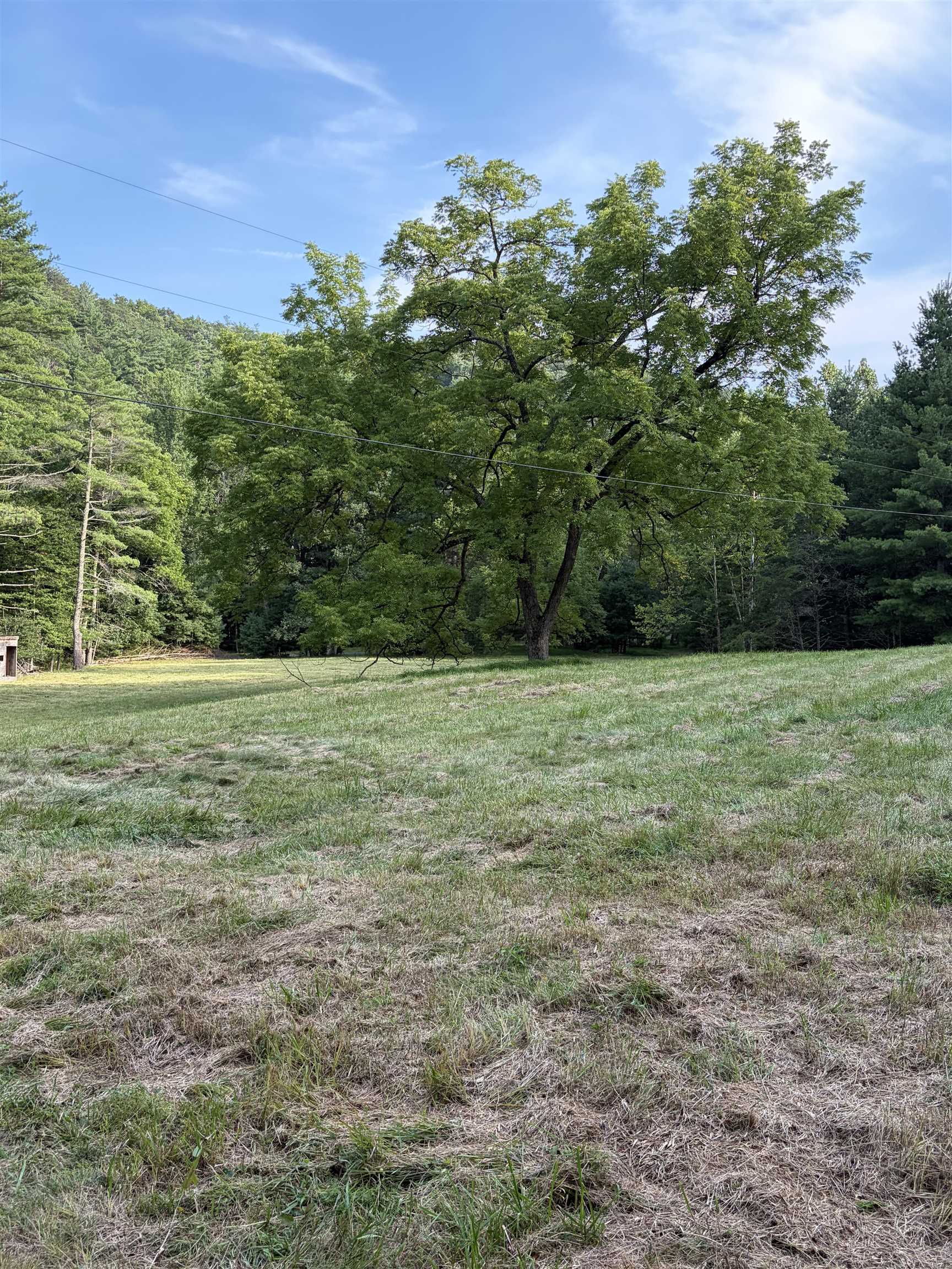 Lot 16 BOLSHERS RUN, MILLBORO, Virginia 24460, ,Land,Lot 16 BOLSHERS RUN,680634 MLS # 680634
