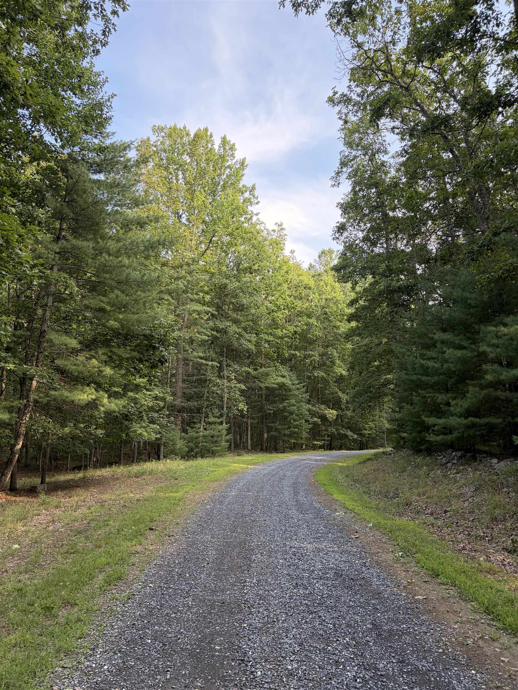 Lot 16 BOLSHERS RUN, MILLBORO, Virginia 24460, ,Land,Lot 16 BOLSHERS RUN,680634 MLS # 680634
