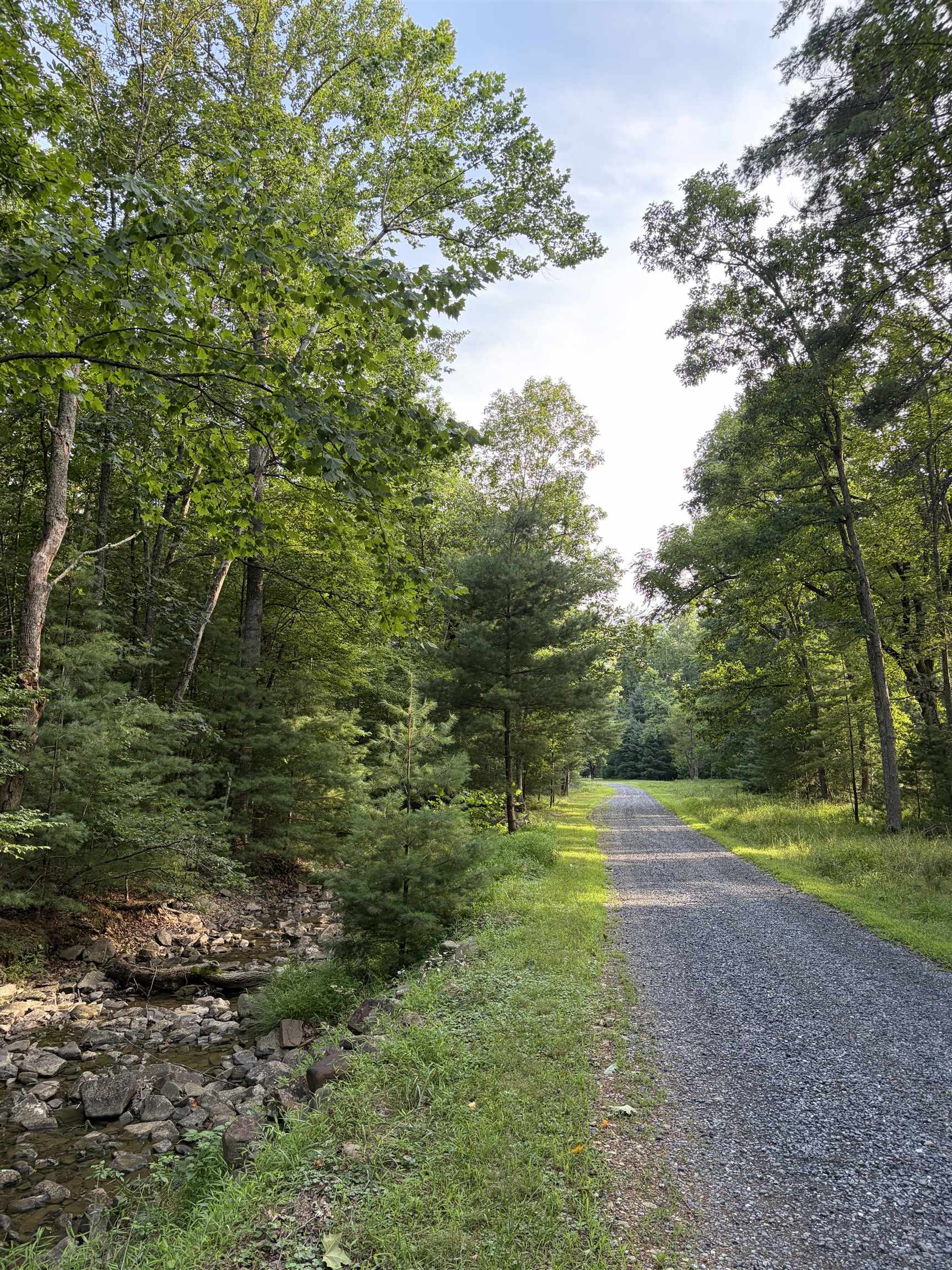 Lot 16 BOLSHERS RUN, MILLBORO, Virginia 24460, ,Land,Lot 16 BOLSHERS RUN,680634 MLS # 680634