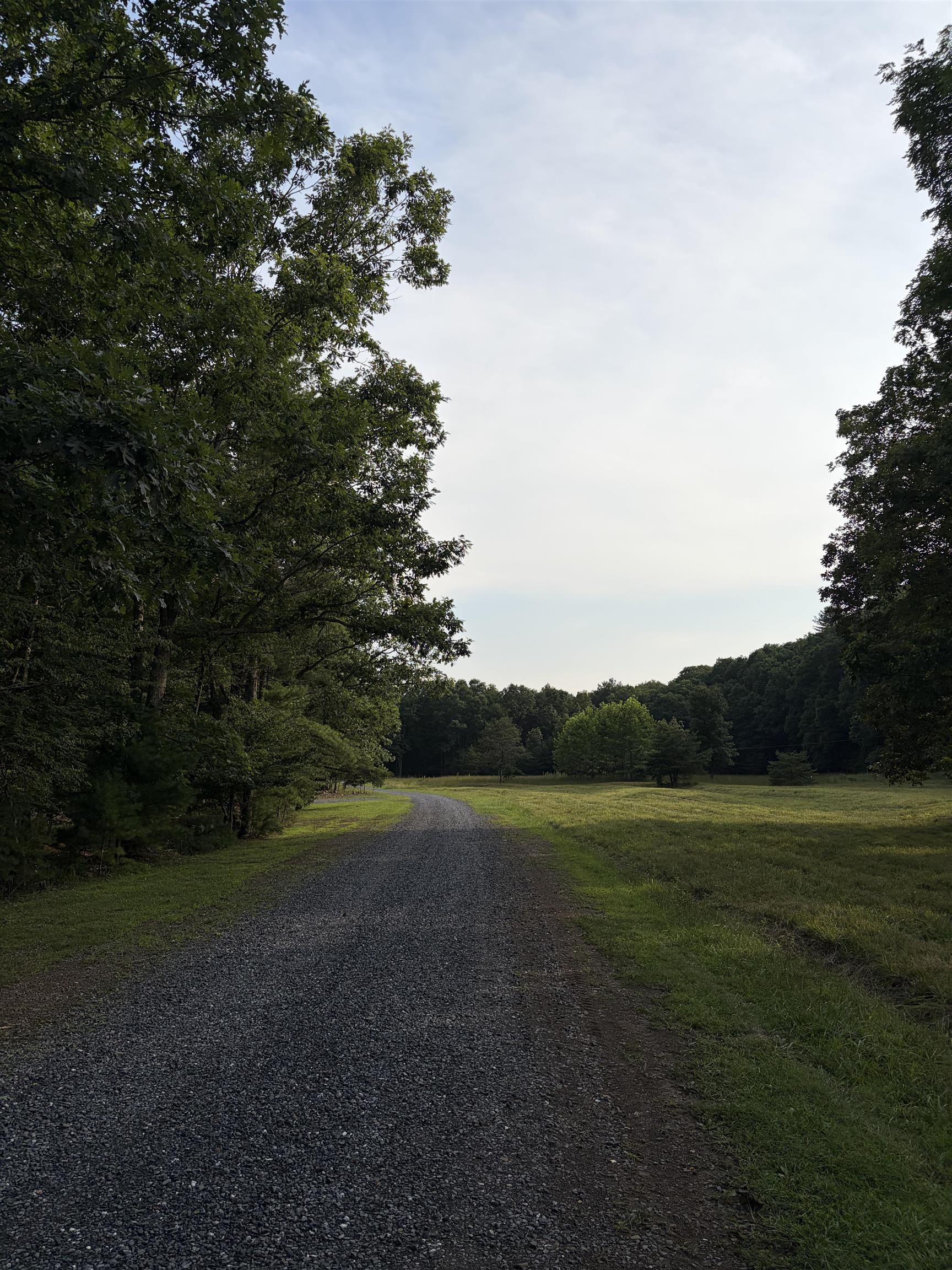 Lot 16 BOLSHERS RUN, MILLBORO, Virginia 24460, ,Land,Lot 16 BOLSHERS RUN,680634 MLS # 680634