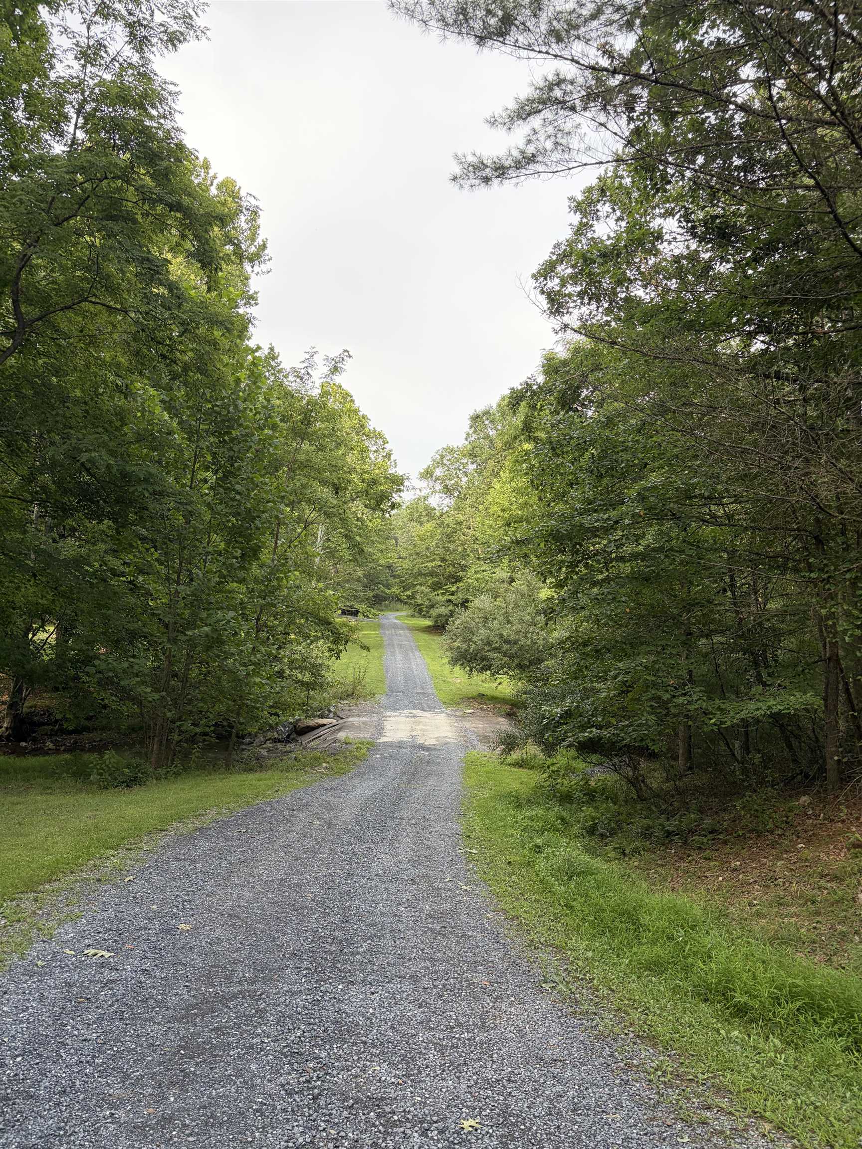 Lot 16 BOLSHERS RUN, MILLBORO, Virginia 24460, ,Land,Lot 16 BOLSHERS RUN,680634 MLS # 680634