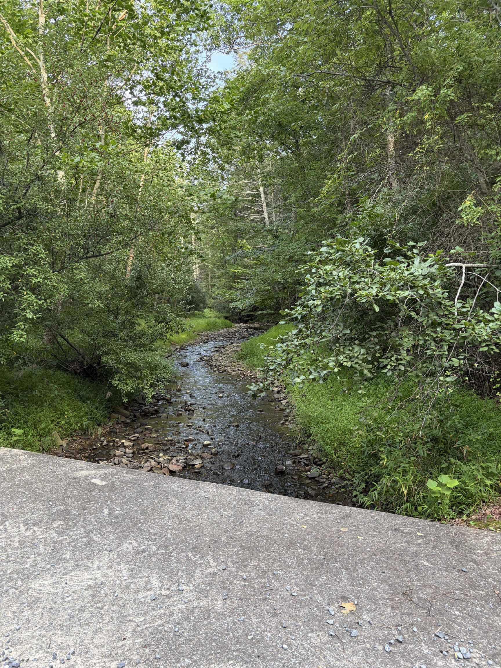 Lot 16 BOLSHERS RUN, MILLBORO, Virginia 24460, ,Land,Lot 16 BOLSHERS RUN,680634 MLS # 680634