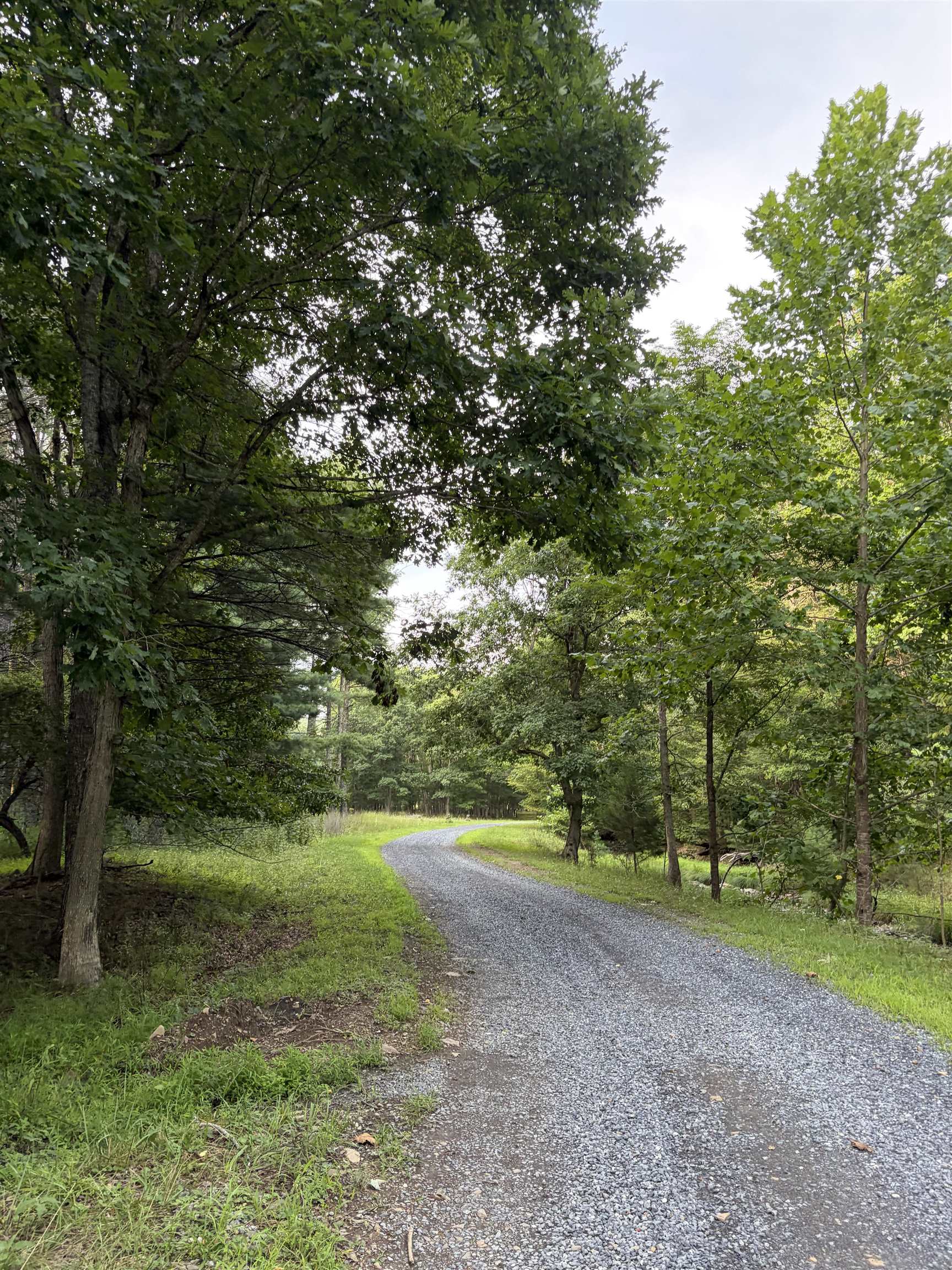 Lot 16 BOLSHERS RUN, MILLBORO, Virginia 24460, ,Land,Lot 16 BOLSHERS RUN,680634 MLS # 680634