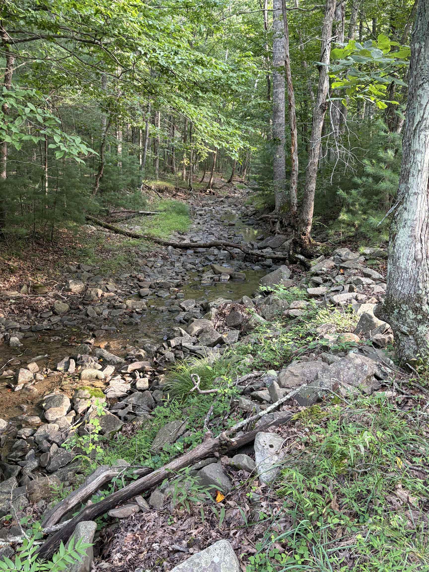 Lot 16 BOLSHERS RUN, MILLBORO, Virginia 24460, ,Land,Lot 16 BOLSHERS RUN,680634 MLS # 680634
