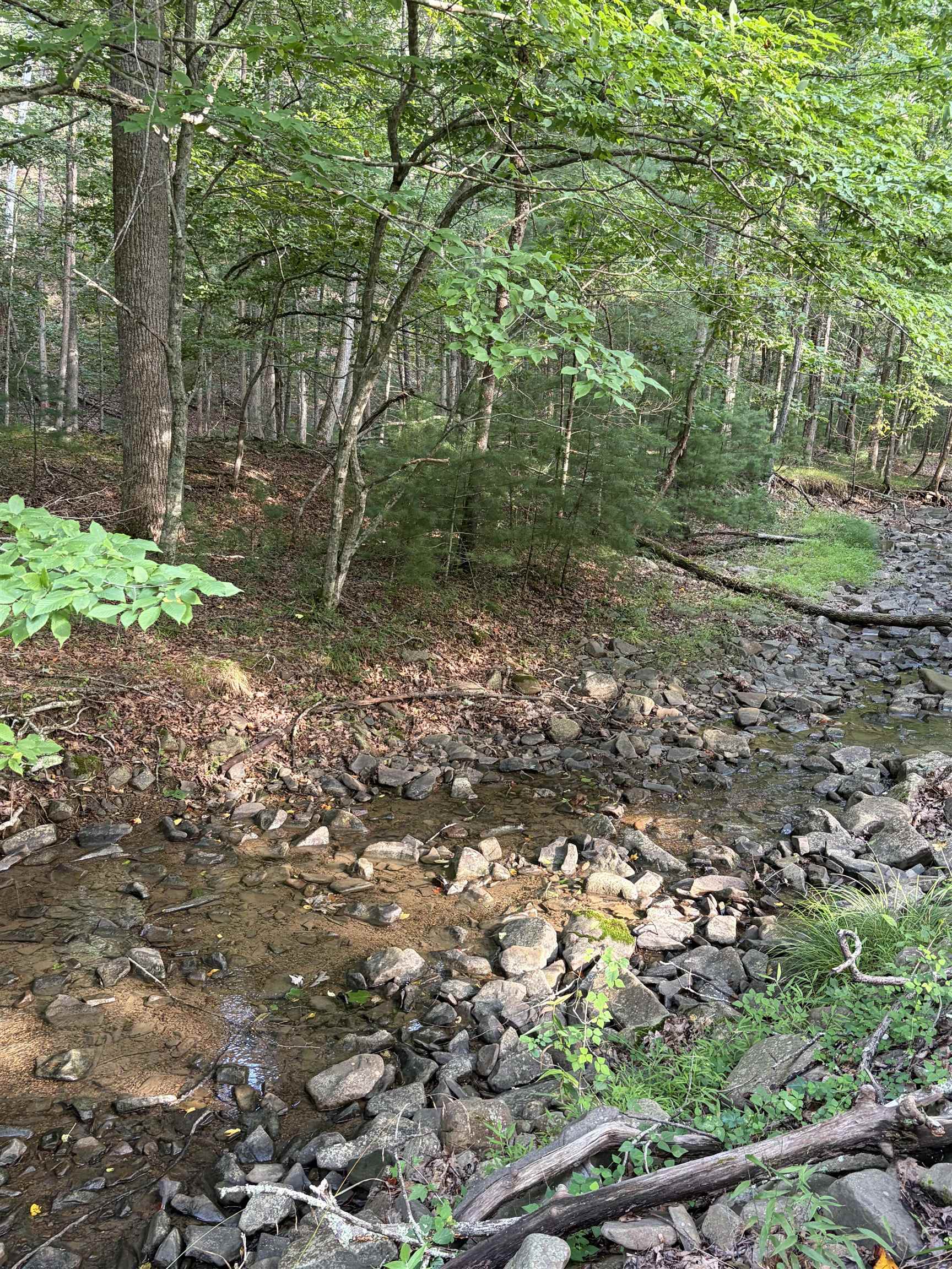 Lot 16 BOLSHERS RUN, MILLBORO, Virginia 24460, ,Land,Lot 16 BOLSHERS RUN,680634 MLS # 680634