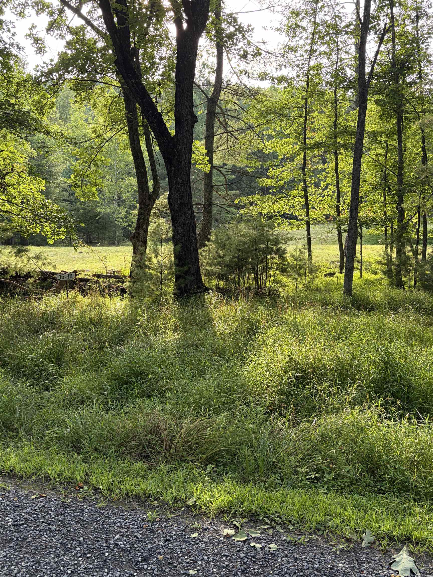 Lot 16 BOLSHERS RUN, MILLBORO, Virginia 24460, ,Land,Lot 16 BOLSHERS RUN,680634 MLS # 680634