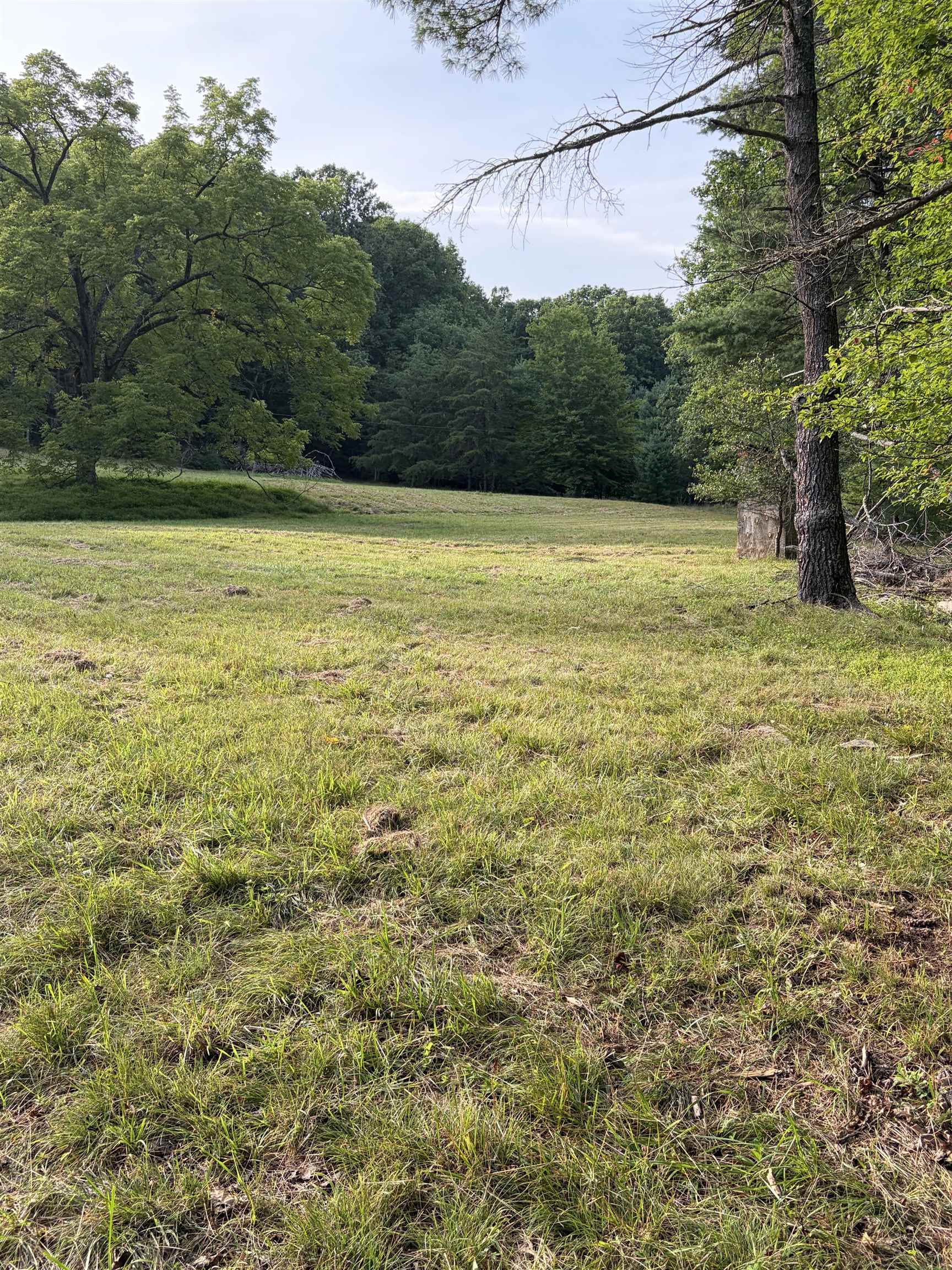 Lot 16 BOLSHERS RUN, MILLBORO, Virginia 24460, ,Land,Lot 16 BOLSHERS RUN,680634 MLS # 680634