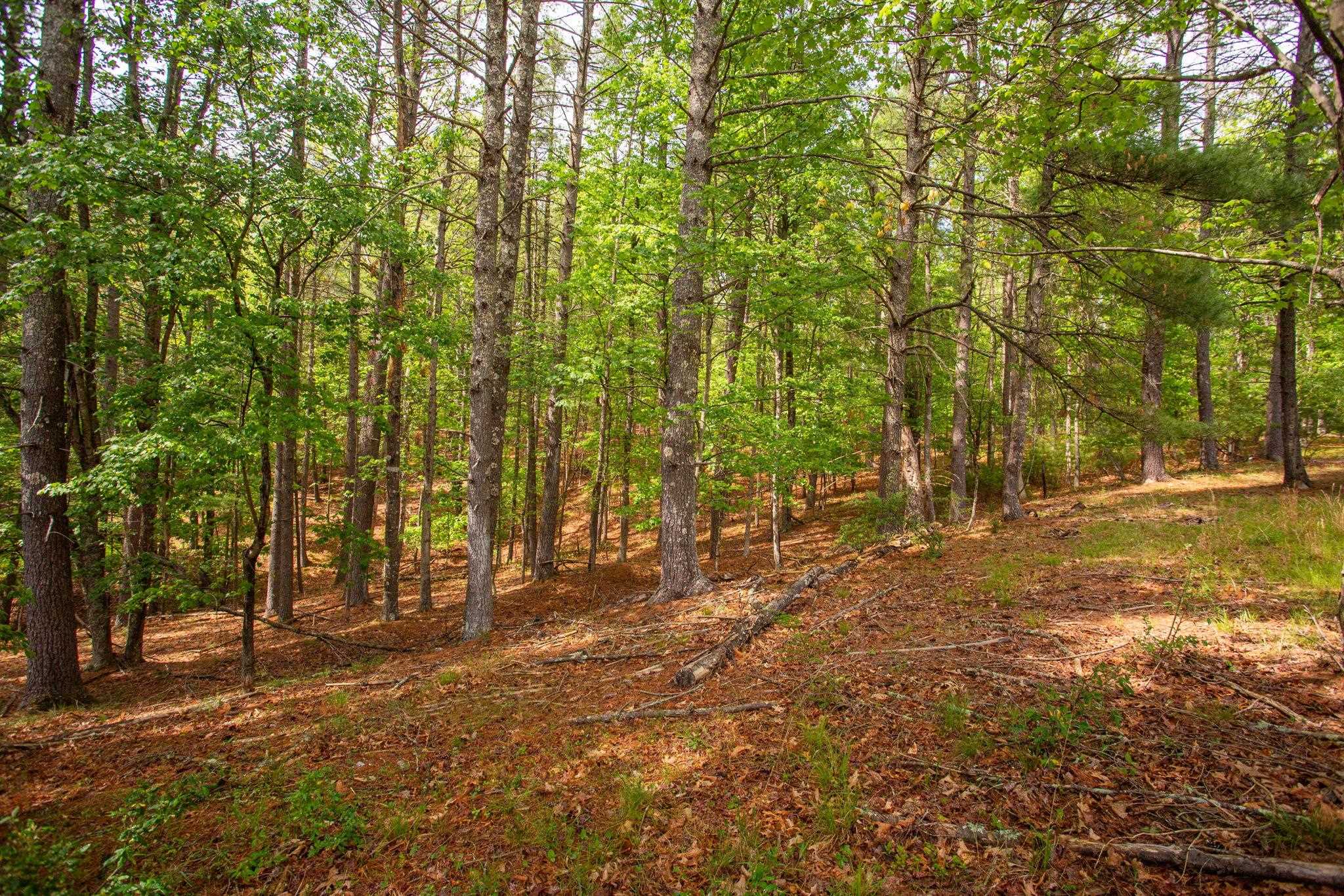 21117 MINE MOUNTAIN RD, BERGTON, Virginia 22811, 2 Bedrooms Bedrooms, ,1 BathroomBathrooms,Residential,21117 MINE MOUNTAIN RD,677536 MLS # 677536