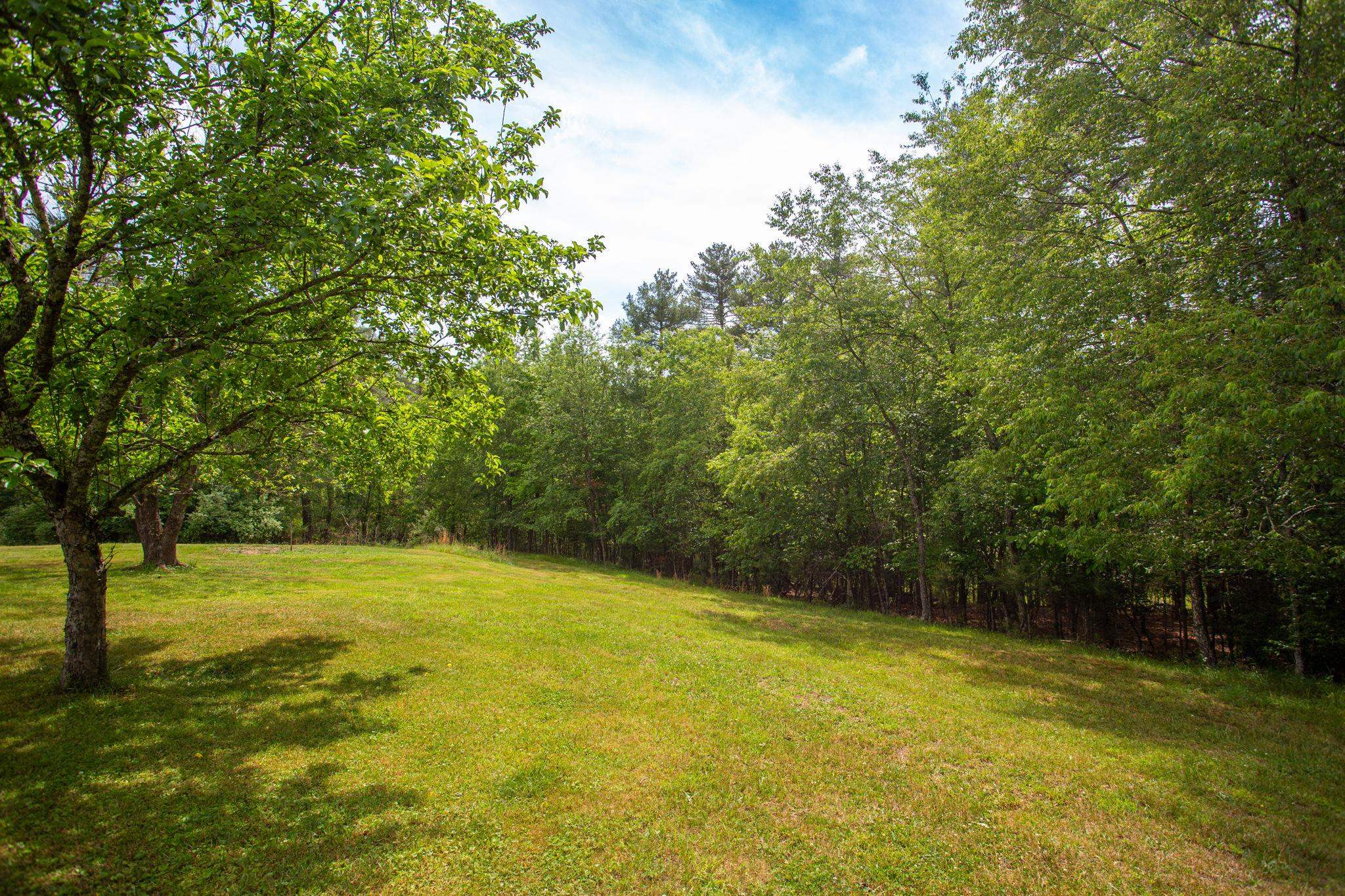 21117 MINE MOUNTAIN RD, BERGTON, Virginia 22811, 2 Bedrooms Bedrooms, ,1 BathroomBathrooms,Residential,21117 MINE MOUNTAIN RD,677536 MLS # 677536