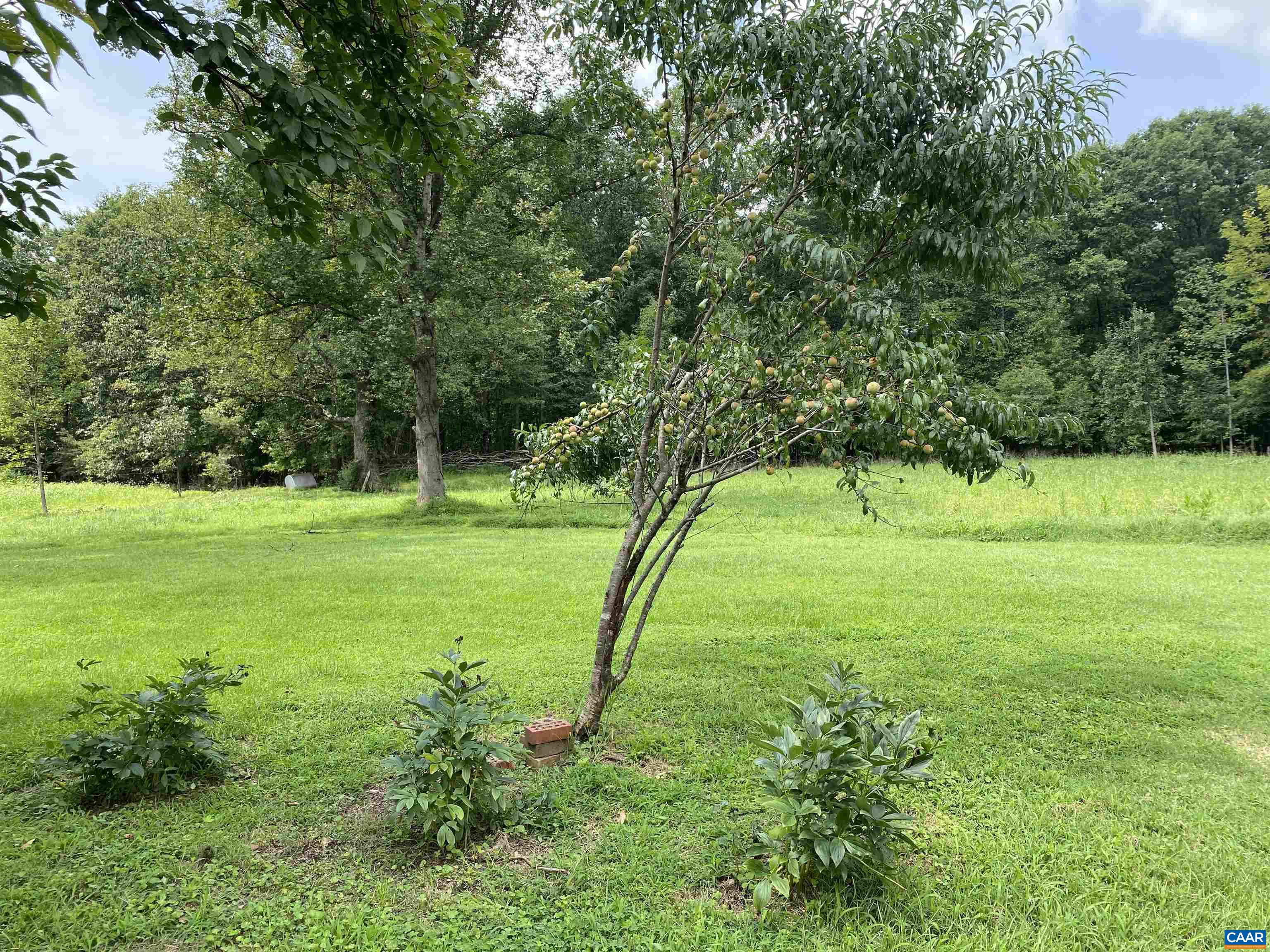208 MOCKING BIRD LN, TROY, Virginia 22974, 2 Bedrooms Bedrooms, ,1 BathroomBathrooms,Residential,Homestead Opportunity! 1 House + 5 parcels = 19.01,208 MOCKING BIRD LN,680630 MLS # 680630