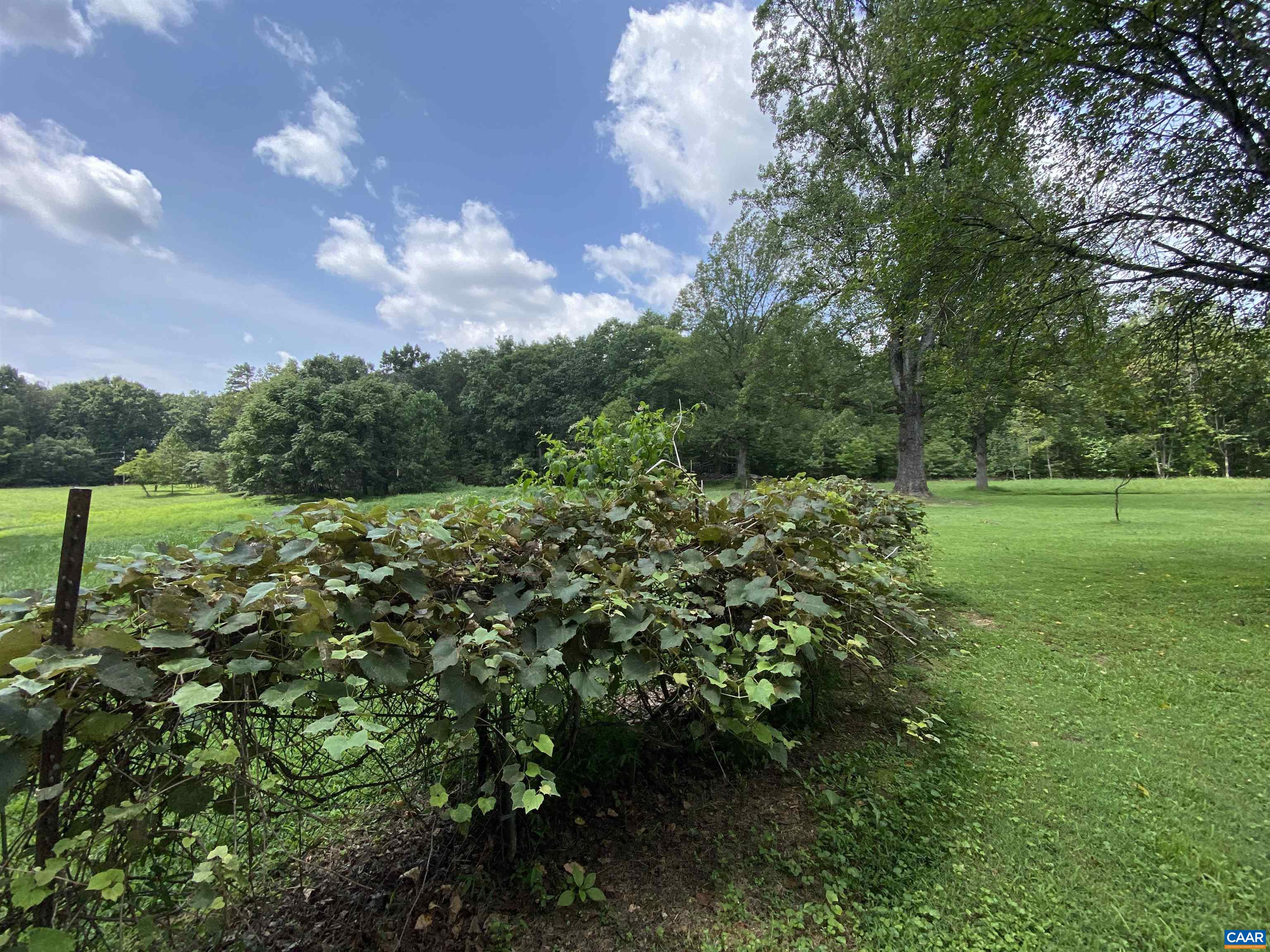 208 MOCKING BIRD LN, TROY, Virginia 22974, 2 Bedrooms Bedrooms, ,1 BathroomBathrooms,Residential,Homestead Opportunity! 1 House + 5 parcels = 19.01,208 MOCKING BIRD LN,680630 MLS # 680630