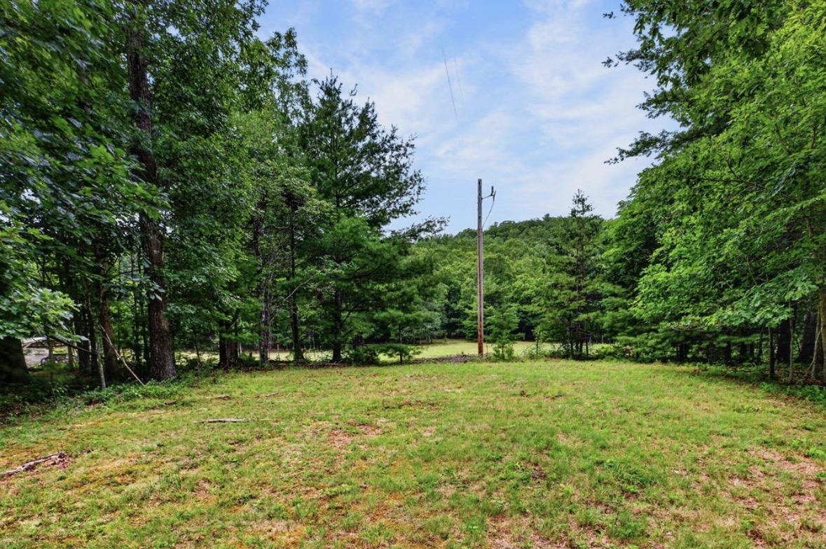 3520 KANAWHA TRL, COVINGTON, Virginia 24426, 4 Bedrooms Bedrooms, ,2 BathroomsBathrooms,Residential,3520 KANAWHA TRL,680637 MLS # 680637 3520 KANAWHA TRL, COVINGTON, Virginia 24426, 4 Bedrooms Bedrooms, ,2 BathroomsBathrooms,Residential,3520 KANAWHA TRL,680637 MLS # 680637