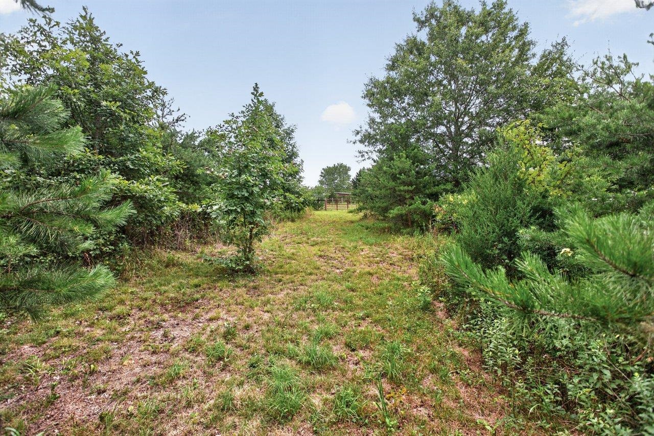 7066 FORTUNE LN, KEENE, Virginia 22946, 3 Bedrooms Bedrooms, ,2 BathroomsBathrooms,Residential,7066 FORTUNE LN,680514 MLS # 680514 7066 FORTUNE LN, KEENE, Virginia 22946, 3 Bedrooms Bedrooms, ,2 BathroomsBathrooms,Residential,7066 FORTUNE LN,680514 MLS # 680514