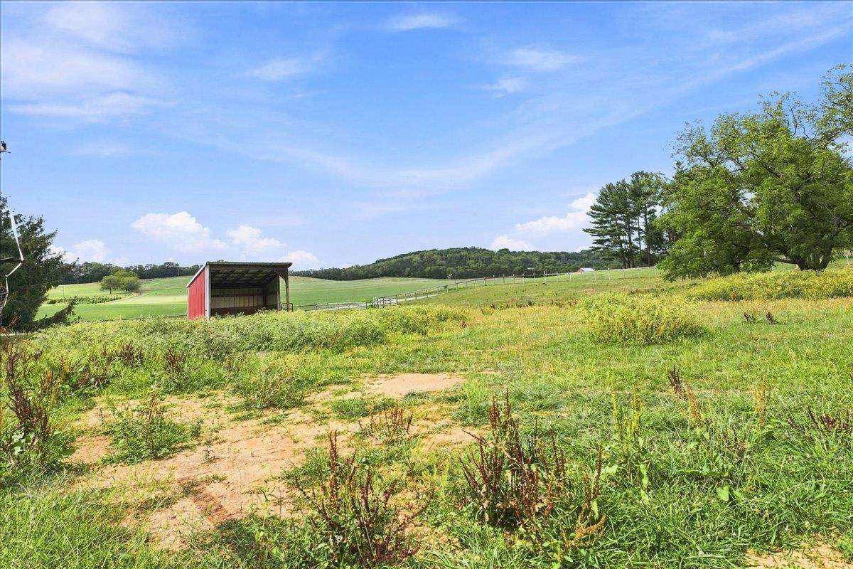 1100 QUICKS MILL RD, STAUNTON, Virginia 24401, 5 Bedrooms Bedrooms, ,3 BathroomsBathrooms,Residential,1100 QUICKS MILL RD,680542 MLS # 680542 1100 QUICKS MILL RD, STAUNTON, Virginia 24401, 5 Bedrooms Bedrooms, ,3 BathroomsBathrooms,Residential,1100 QUICKS MILL RD,680542 MLS # 680542