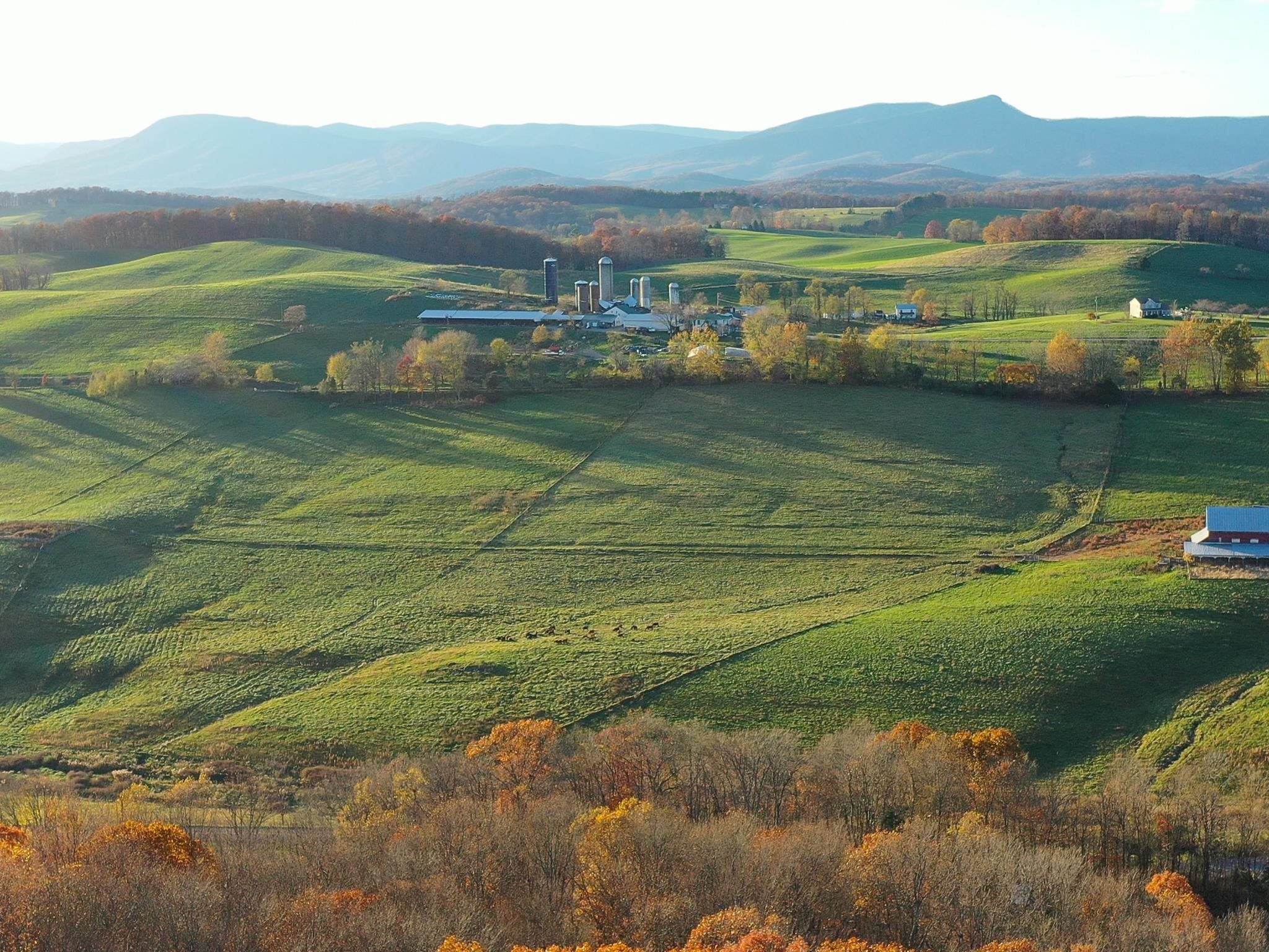 TBD RIDGE RD, FAIRFIELD, Virginia 24435, ,Land,TBD RIDGE RD,680692 MLS # 680692