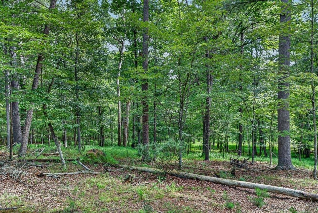 17395 PEEPERS HOLLOW LN, BROADWAY, Virginia 22815, 3 Bedrooms Bedrooms, ,1 BathroomBathrooms,Residential,17395 PEEPERS HOLLOW LN,680662 MLS # 680662 17395 PEEPERS HOLLOW LN, BROADWAY, Virginia 22815, 3 Bedrooms Bedrooms, ,1 BathroomBathrooms,Residential,17395 PEEPERS HOLLOW LN,680662 MLS # 680662