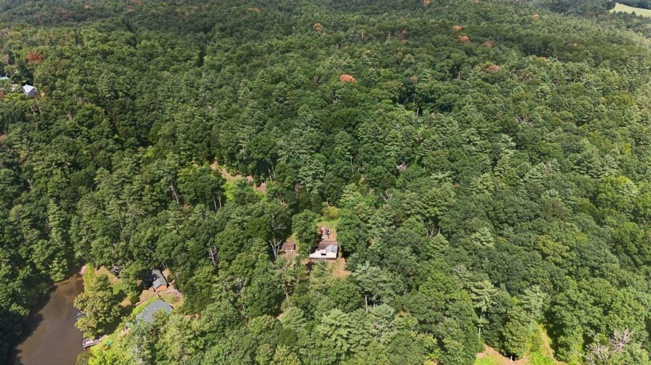 17395 PEEPERS HOLLOW LN, BROADWAY, Virginia 22815, 3 Bedrooms Bedrooms, ,1 BathroomBathrooms,Residential,17395 PEEPERS HOLLOW LN,680662 MLS # 680662 17395 PEEPERS HOLLOW LN, BROADWAY, Virginia 22815, 3 Bedrooms Bedrooms, ,1 BathroomBathrooms,Residential,17395 PEEPERS HOLLOW LN,680662 MLS # 680662